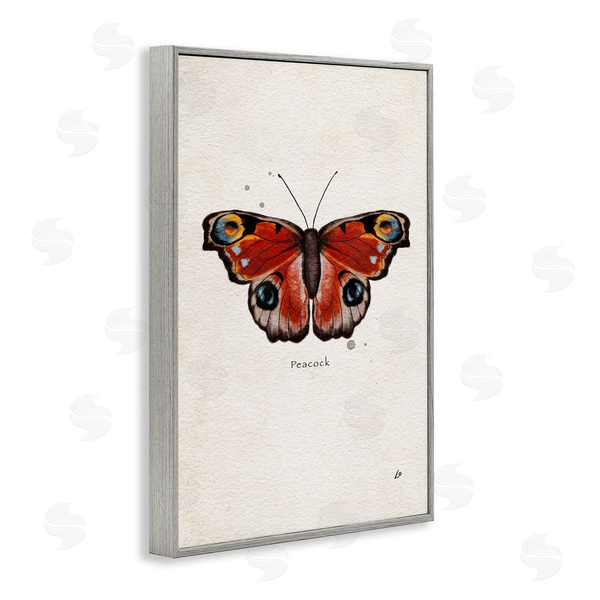 Peacock Butterfly Study Grey Frame Print Wall Art, Home Decor by Lydia Orange