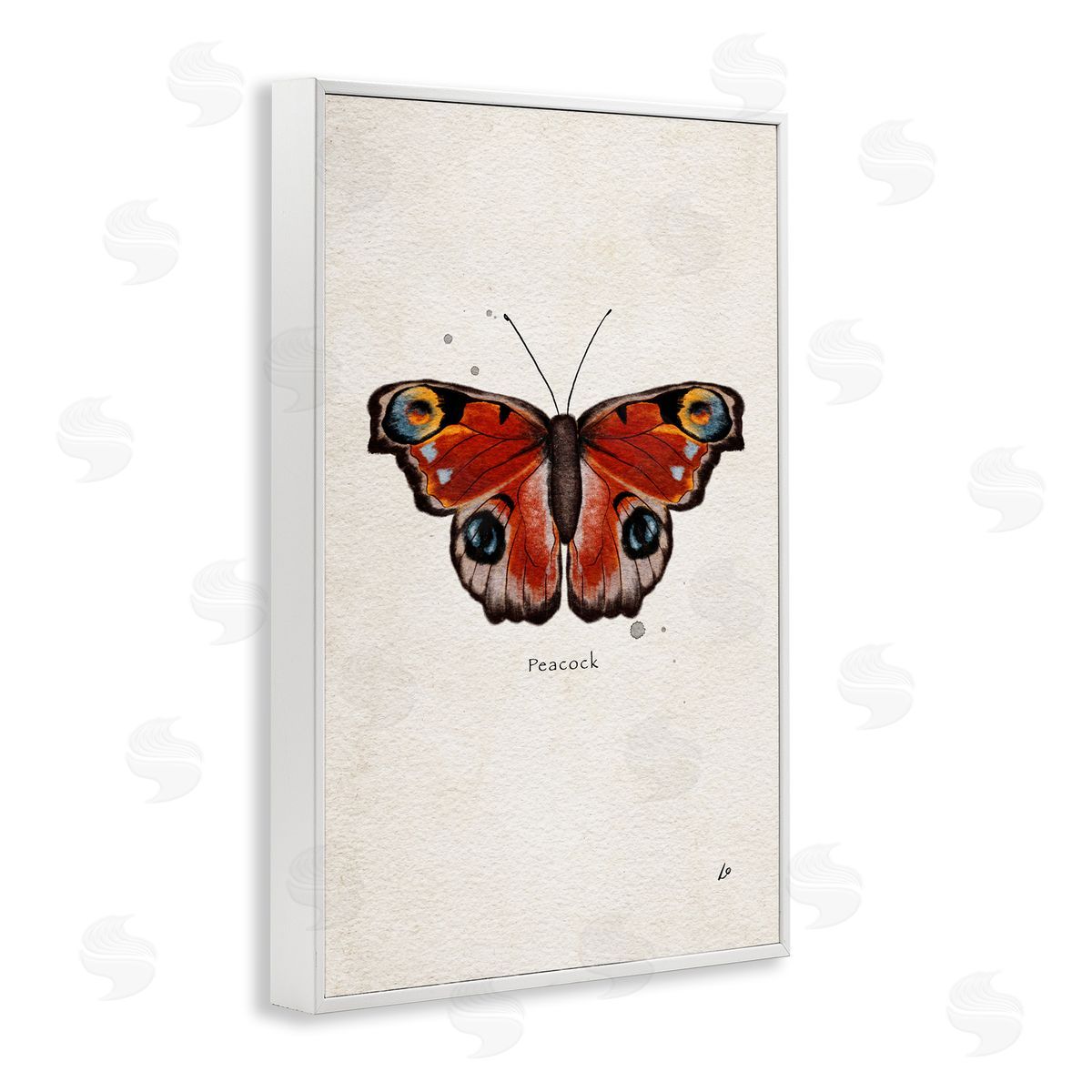 Peacock Butterfly Study White Frame Print Wall Art, Home Decor by Lydia Orange