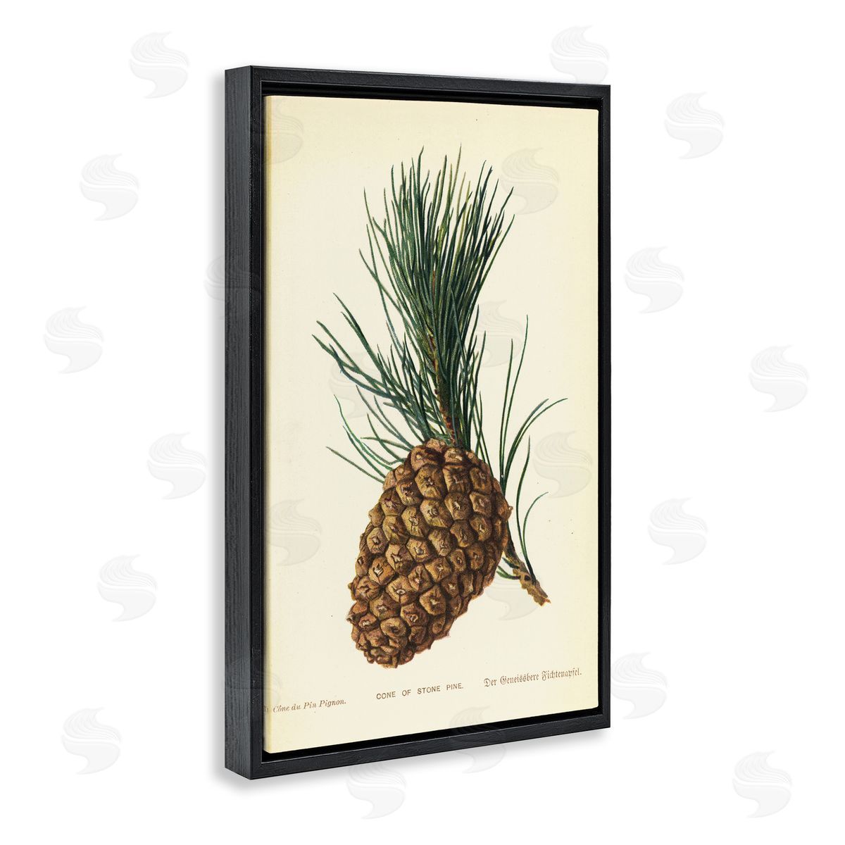 Detailed Pine Cone Sprig Black Floating Frame Canvas Wall Art, Home Decor by Tina Higgins Designs, Inc.
