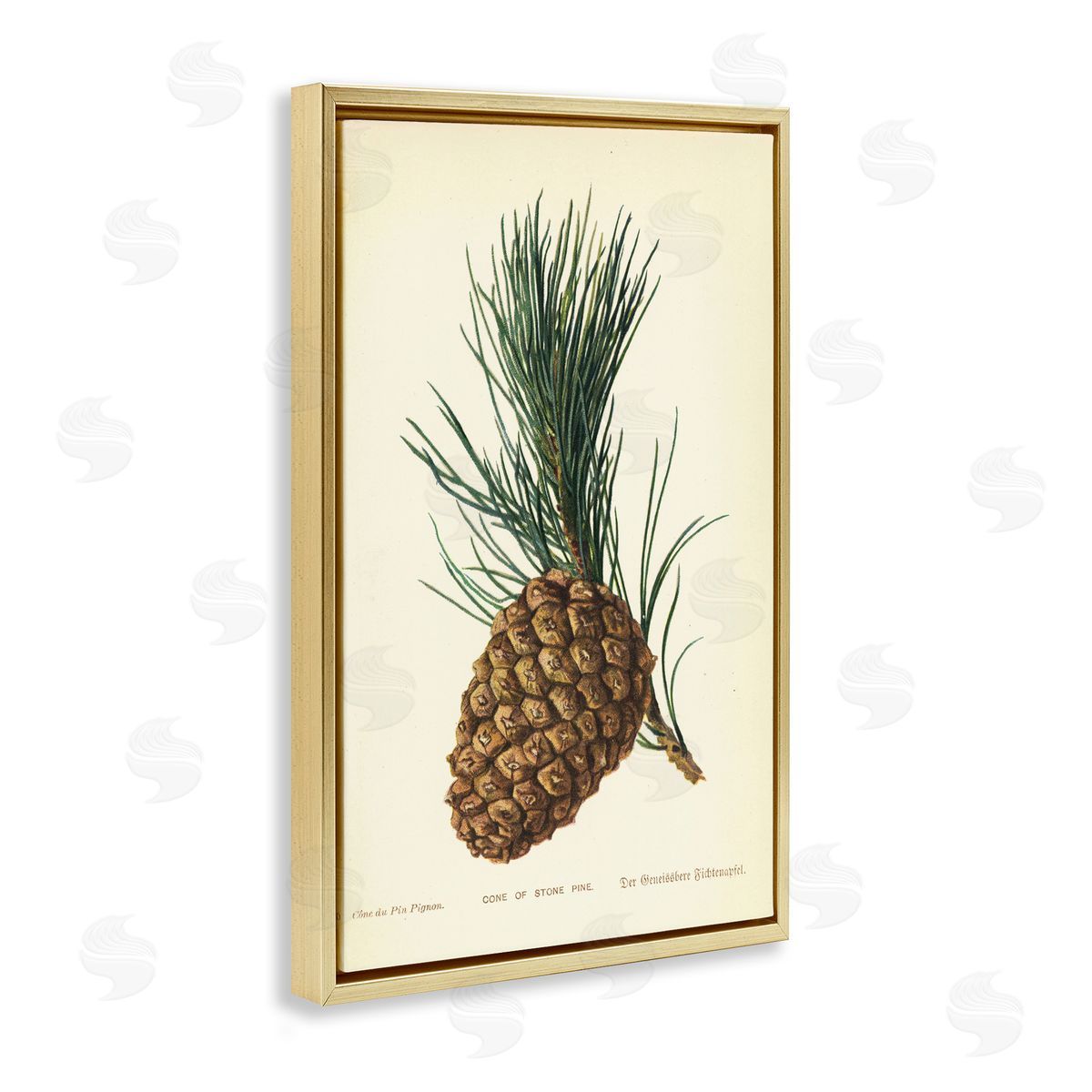 Detailed Pine Cone Sprig Gold Floating Frame Canvas Wall Art, Home Decor by Tina Higgins Designs, Inc.