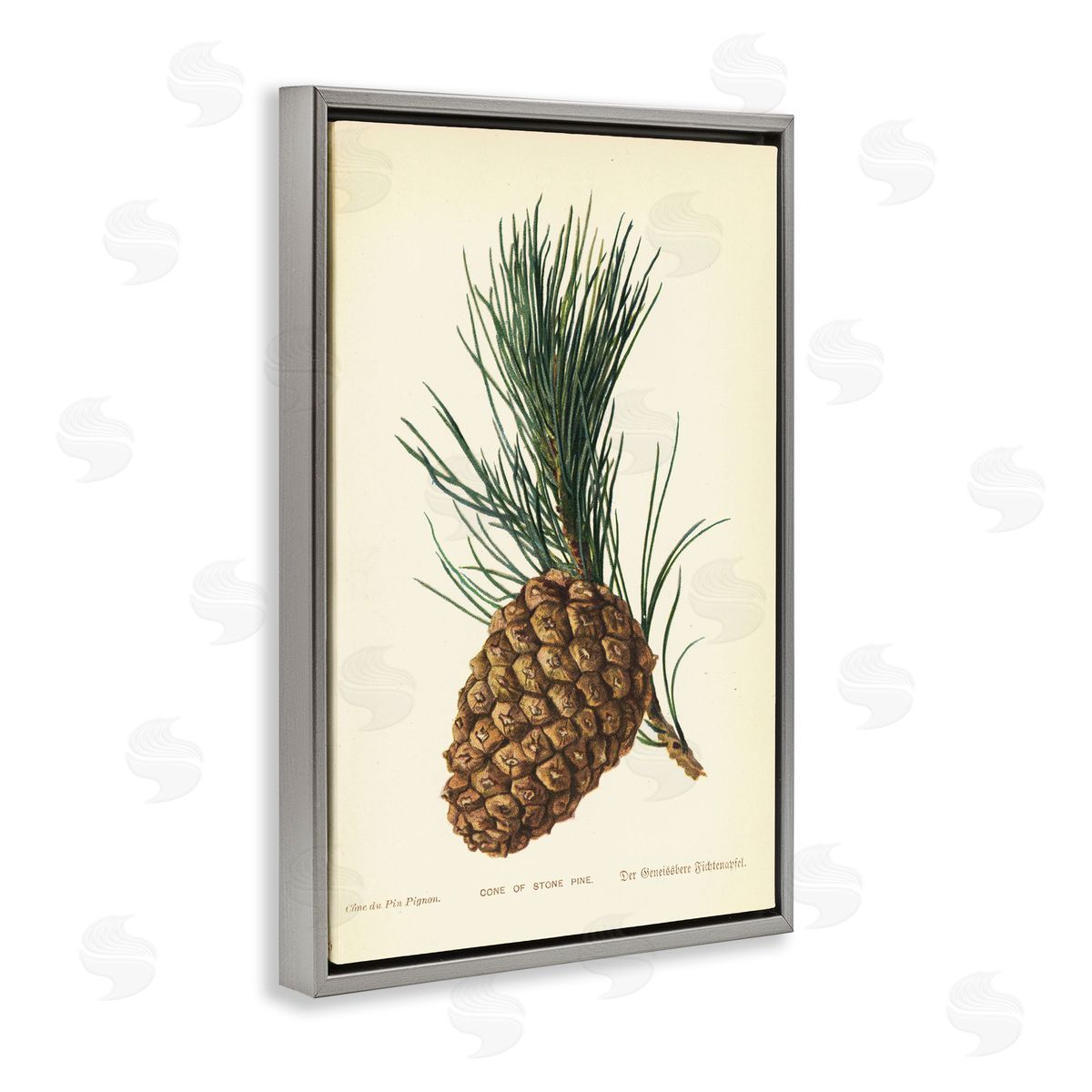 Detailed Pine Cone Sprig Grey Floating Frame Canvas Wall Art, Home Decor by Tina Higgins Designs, Inc.