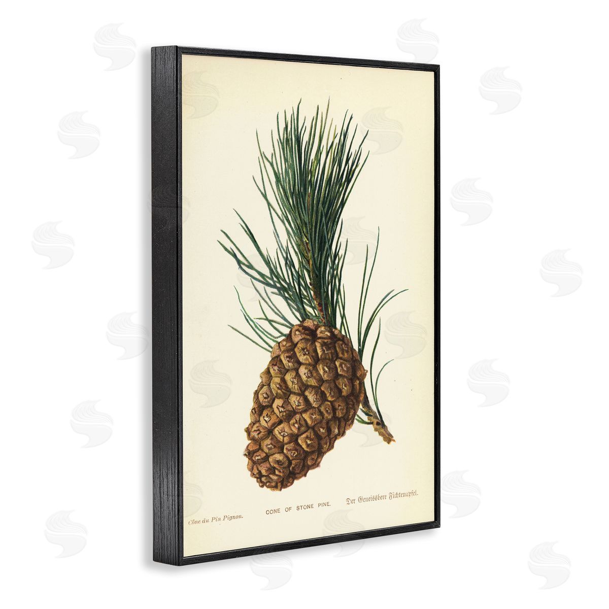 Detailed Pine Cone Sprig Black Frame Print Wall Art, Home Decor by Tina Higgins Designs, Inc.