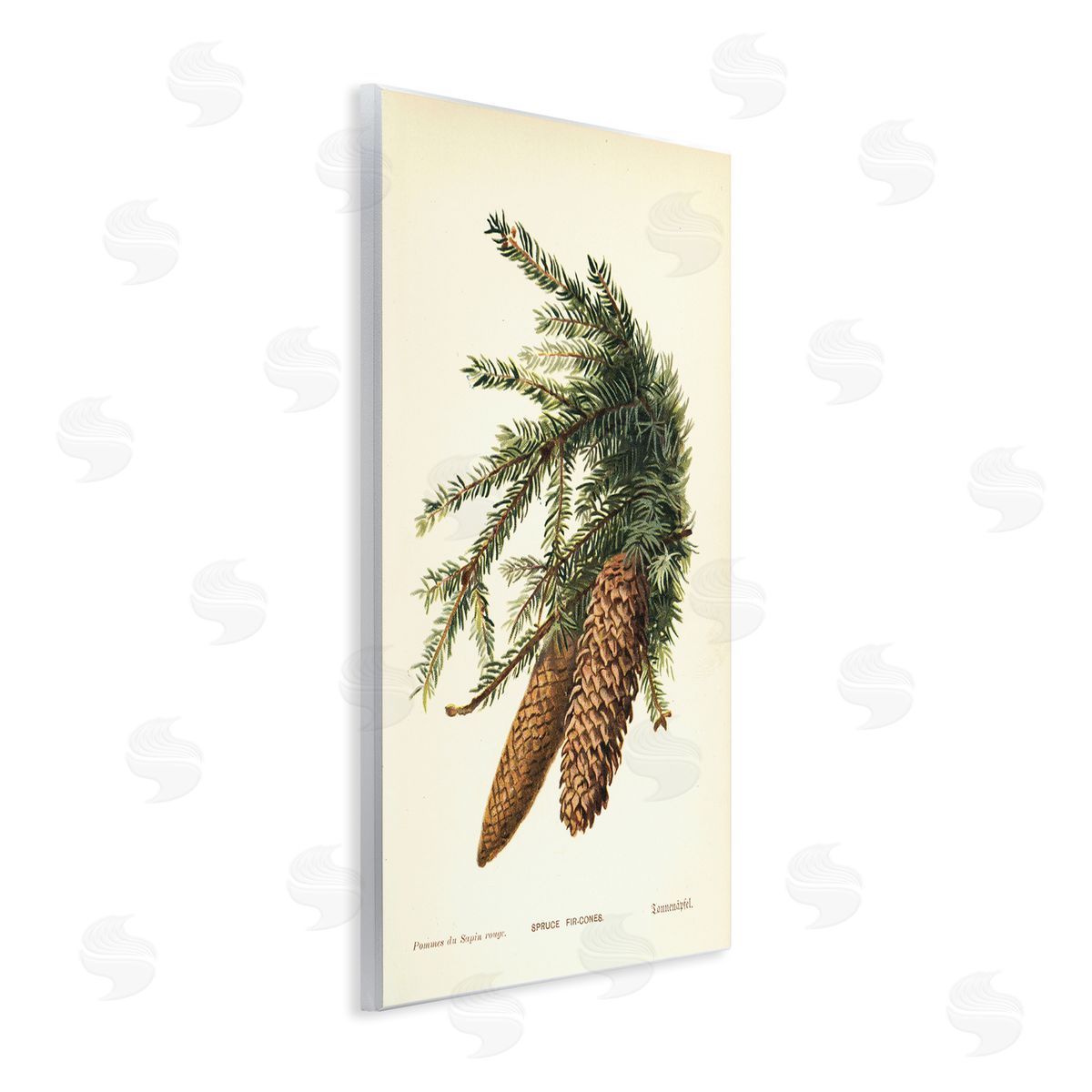 Spruce & Fir Cones Wood Plaque Wall Art, Home Decor by Tina Higgins Designs, Inc.