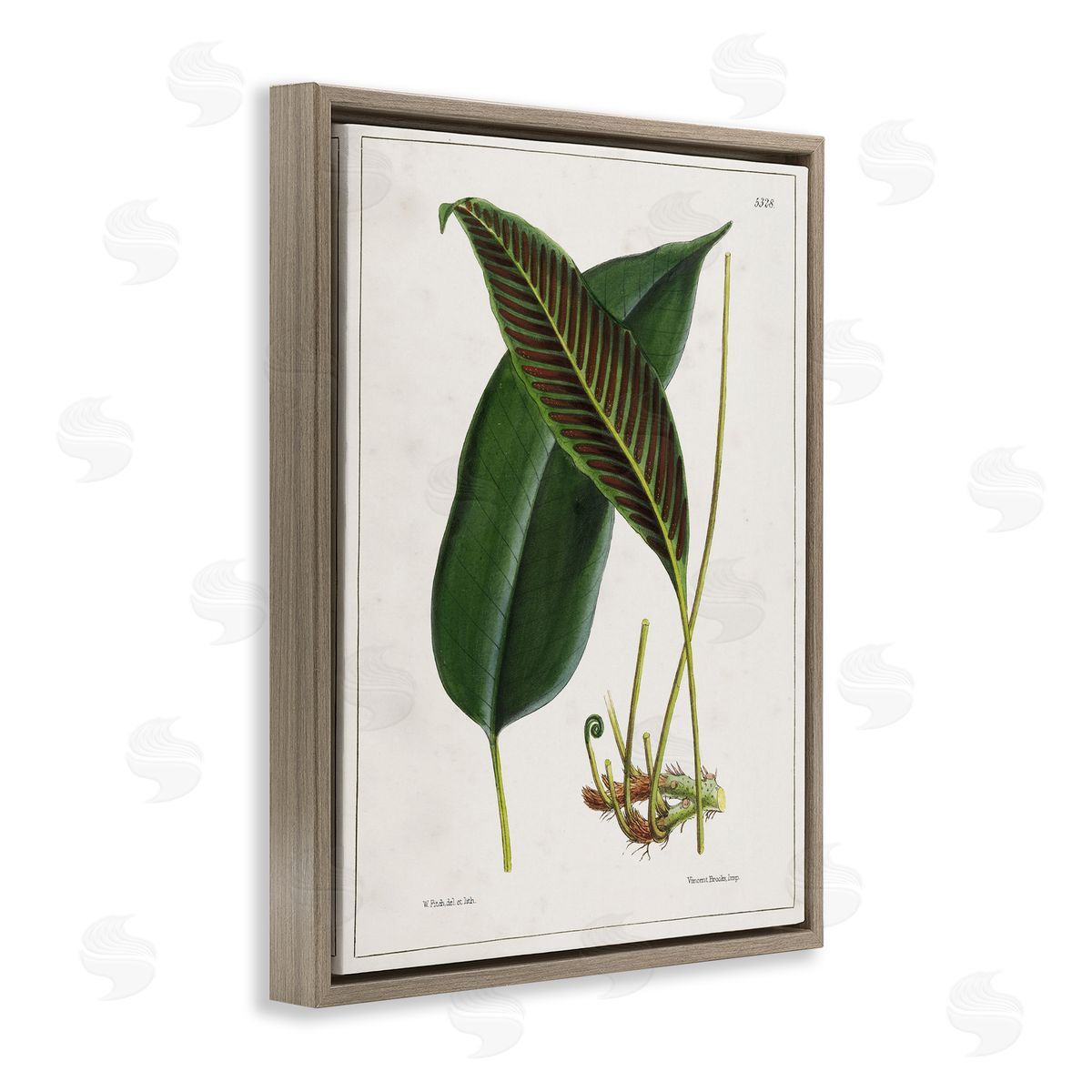 Leaf and its Underside Study Brown Floating Frame Canvas Wall Art, Home Decor by Tina Higgins Designs, Inc.