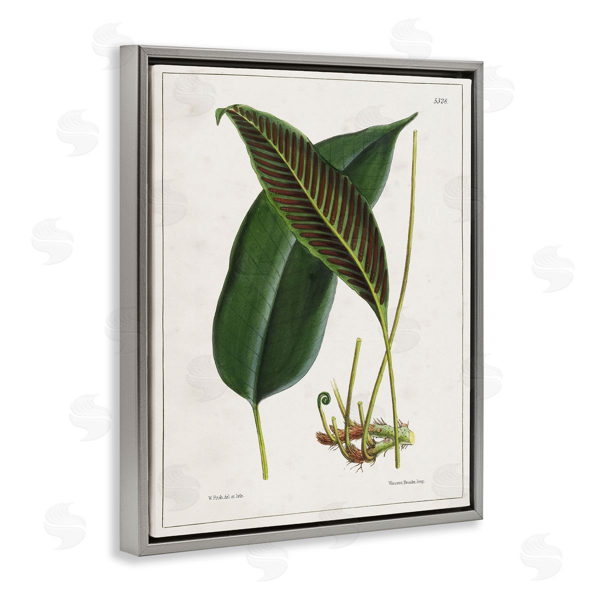 Leaf and its Underside Study Grey Floating Frame Canvas Wall Art, Home Decor by Tina Higgins Designs, Inc.