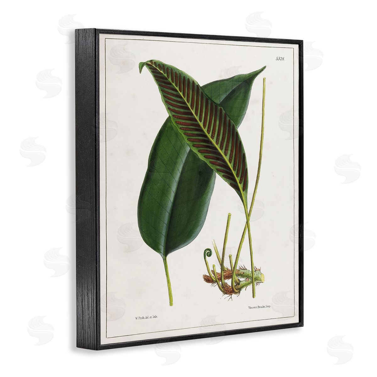 Leaf and its Underside Study Black Frame Print Wall Art, Home Decor by Tina Higgins Designs, Inc.