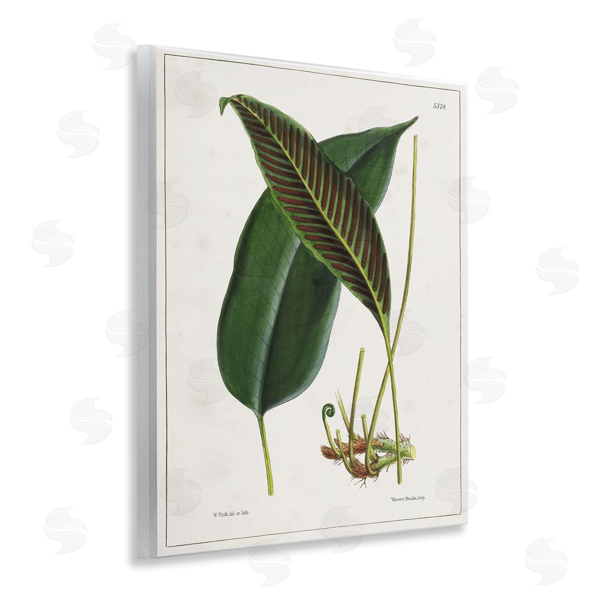 Leaf and its Underside Study Wood Plaque Wall Art, Home Decor by Tina Higgins Designs, Inc.