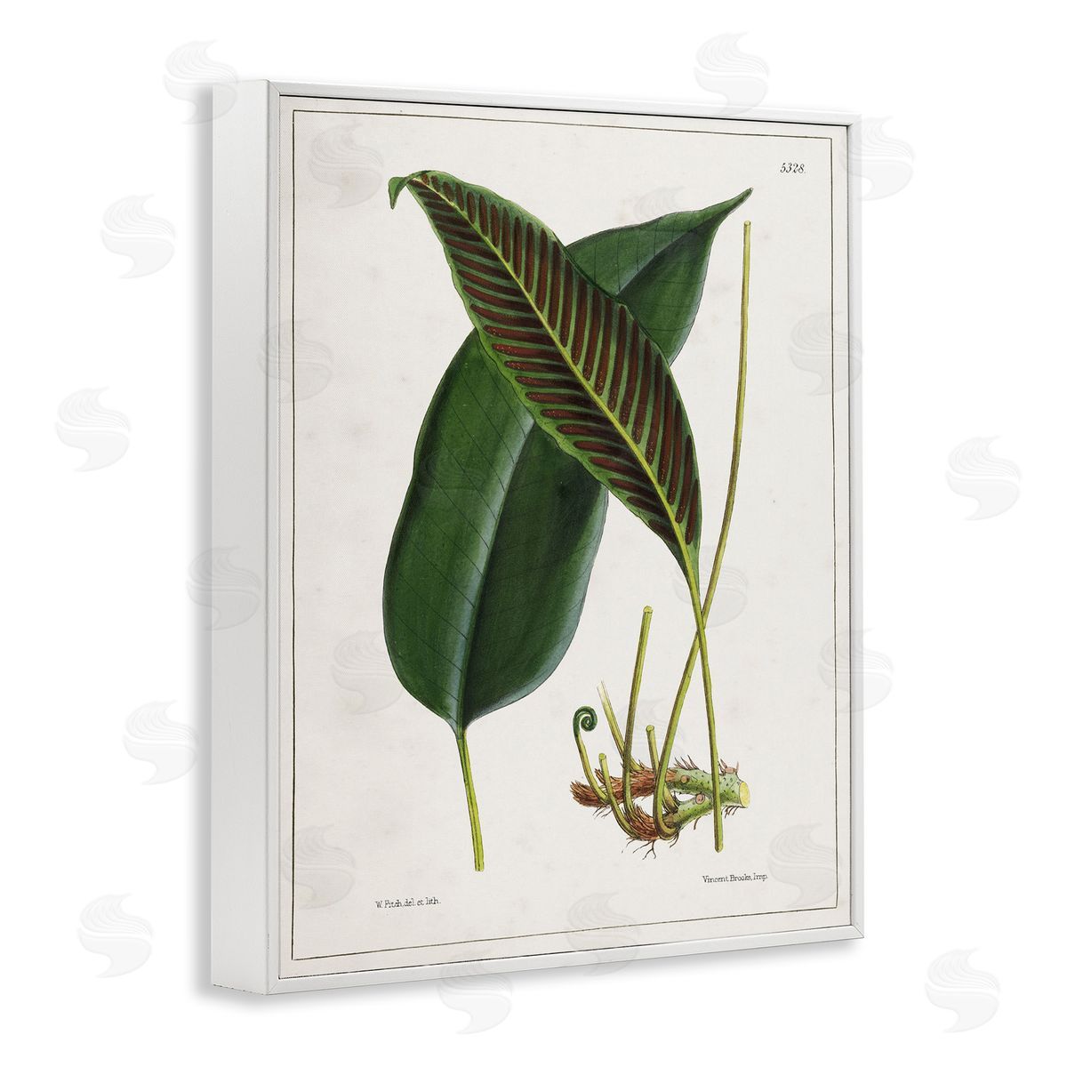 Leaf and its Underside Study White Frame Print Wall Art, Home Decor by Tina Higgins Designs, Inc.