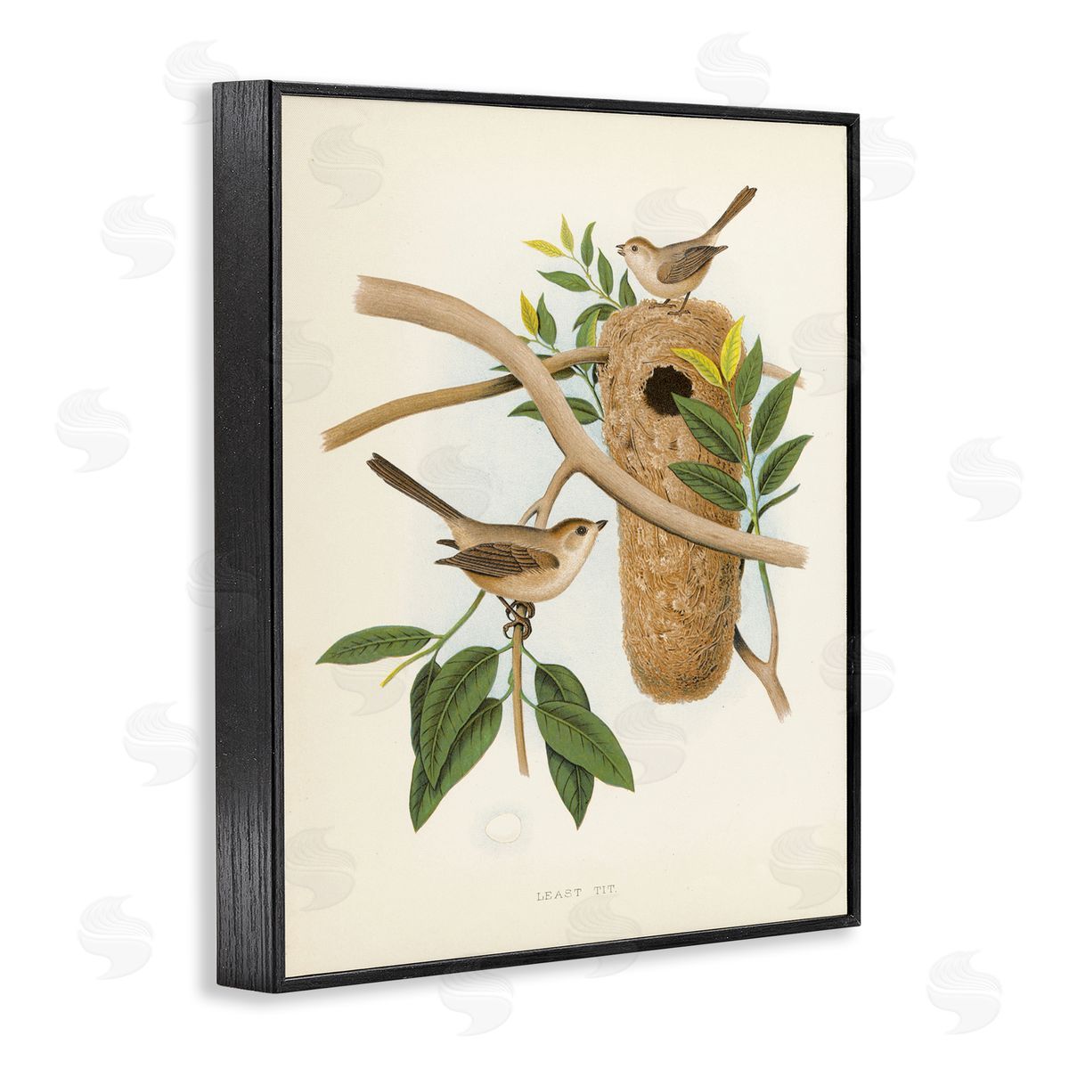 Vintage Bird House Study Black Frame Print Wall Art, Home Decor by Tina Higgins Designs, Inc.
