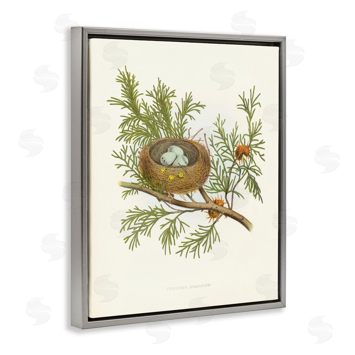 Forest Bird Nest on Branch Grey Floating Frame Canvas Wall Art, Home Decor by Tina Higgins Designs, Inc.