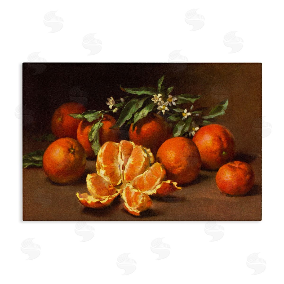 Peeled Oranges Still Life Canvas Wall Art, Home Decor by Tina Higgins Designs, Inc.