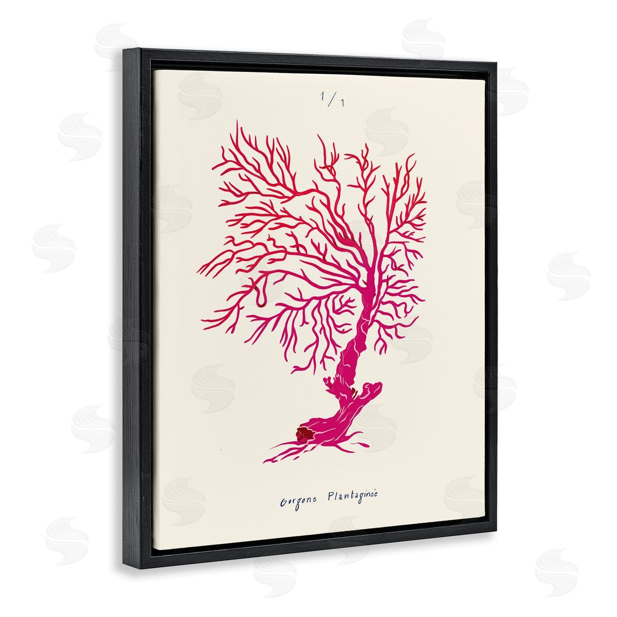 Sea Fauna Coral Black Floating Frame Canvas Wall Art, Home Decor by Marina Astudillo