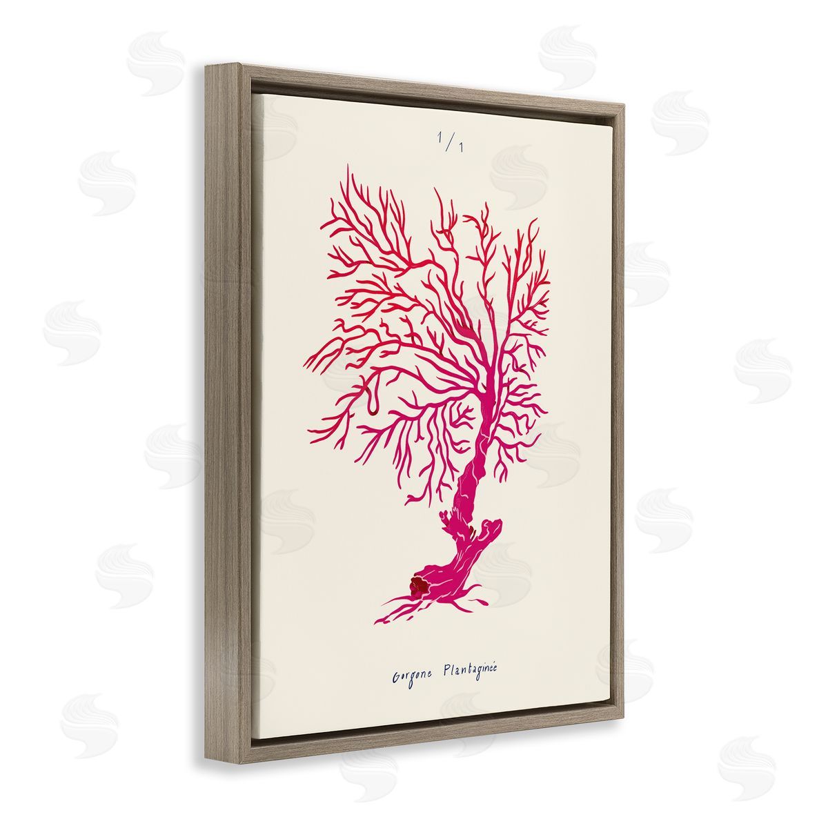 Sea Fauna Coral Brown Floating Frame Canvas Wall Art, Home Decor by Marina Astudillo