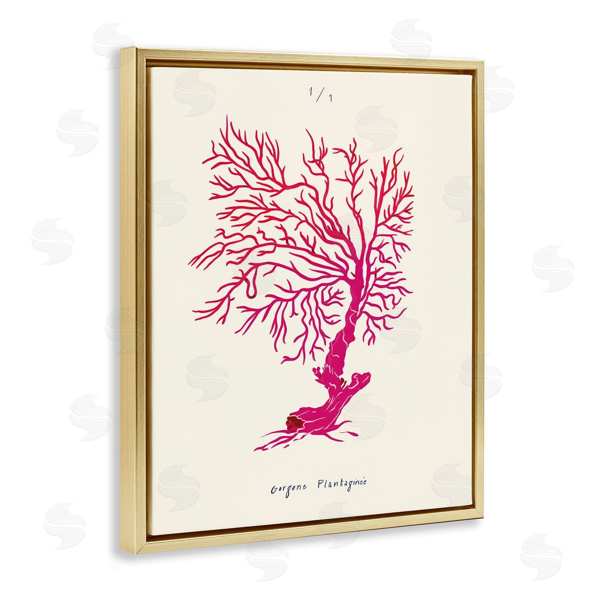 Sea Fauna Coral Gold Floating Frame Canvas Wall Art, Home Decor by Marina Astudillo