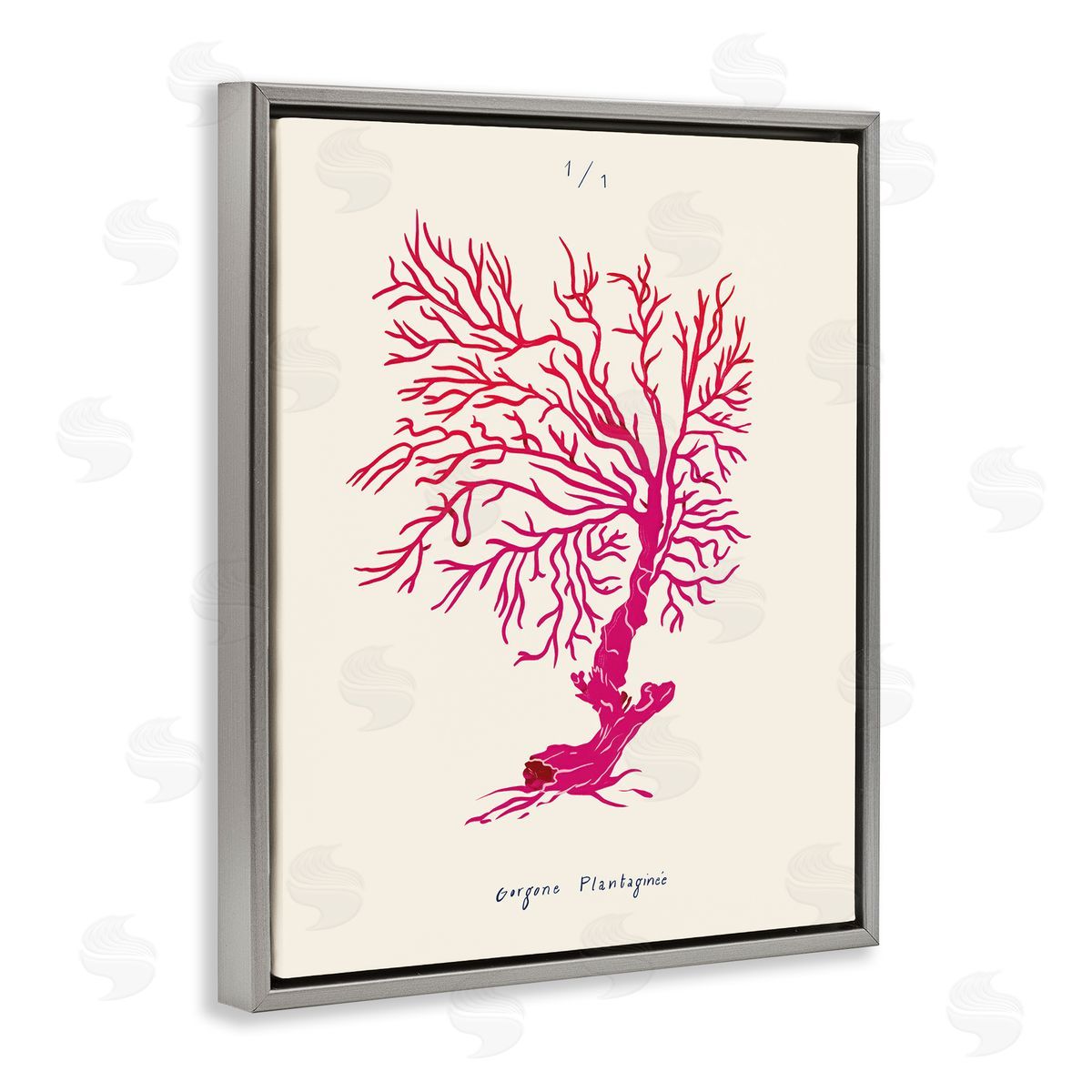 Sea Fauna Coral Grey Floating Frame Canvas Wall Art, Home Decor by Marina Astudillo