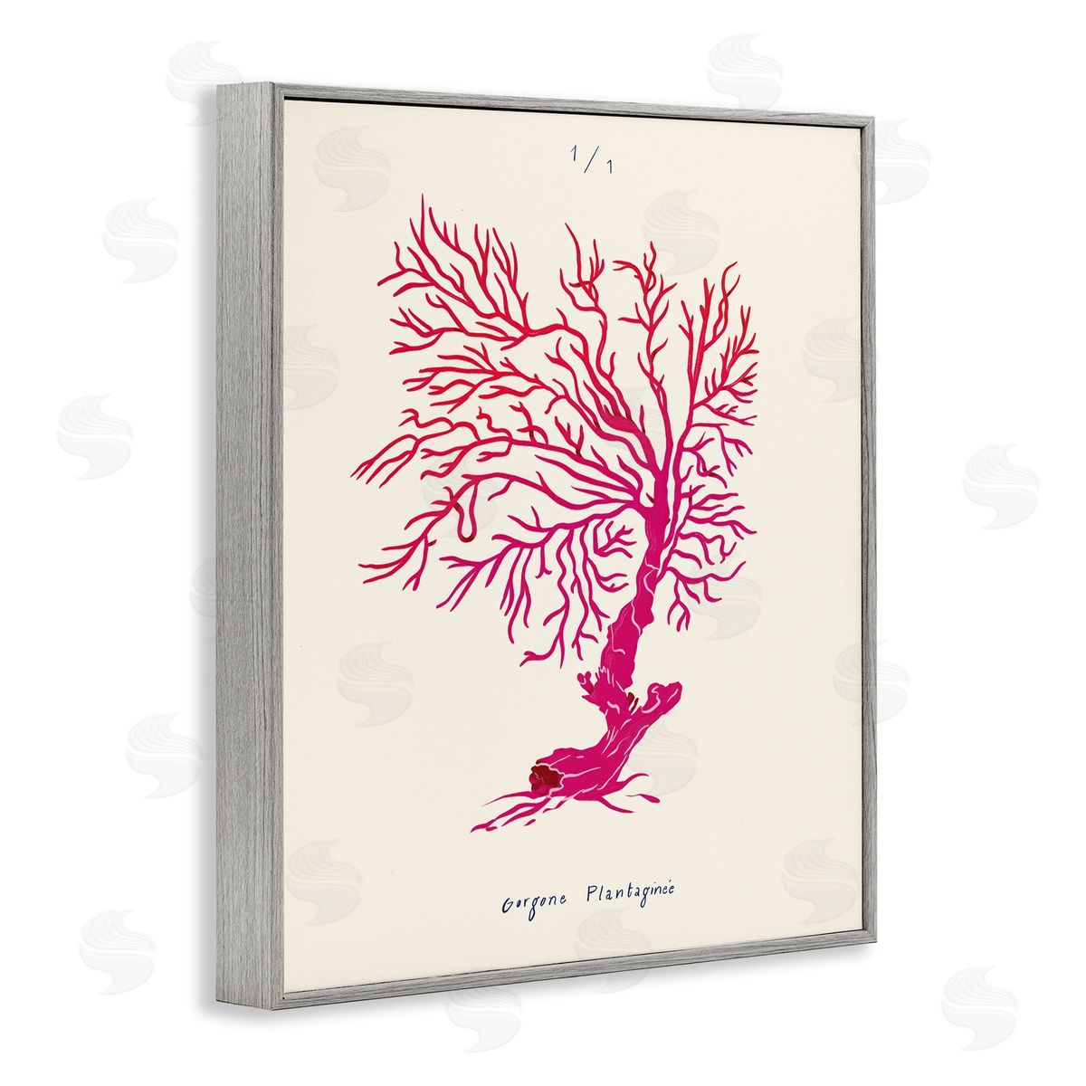 Sea Fauna Coral Grey Frame Print Wall Art, Home Decor by Marina Astudillo