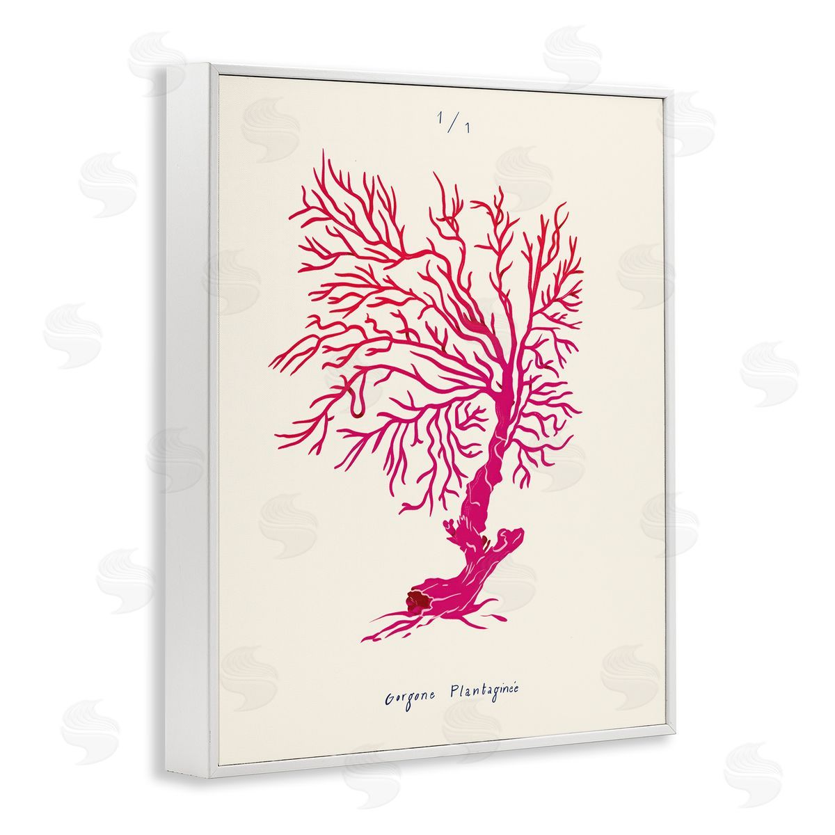 Sea Fauna Coral White Frame Print Wall Art, Home Decor by Marina Astudillo