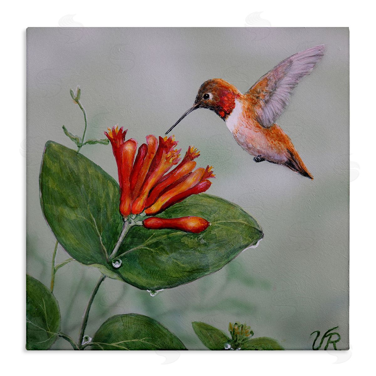 Red Hummingbird & Flower Canvas Wall Art, Home Decor by Valerie Rogers