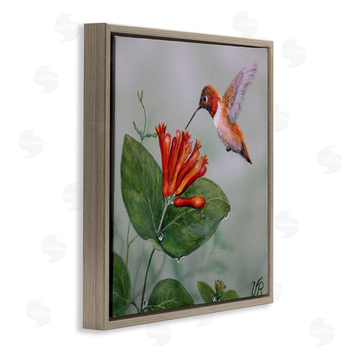 Red Hummingbird & Flower Brown Floating Frame Canvas Wall Art, Home Decor by Valerie Rogers