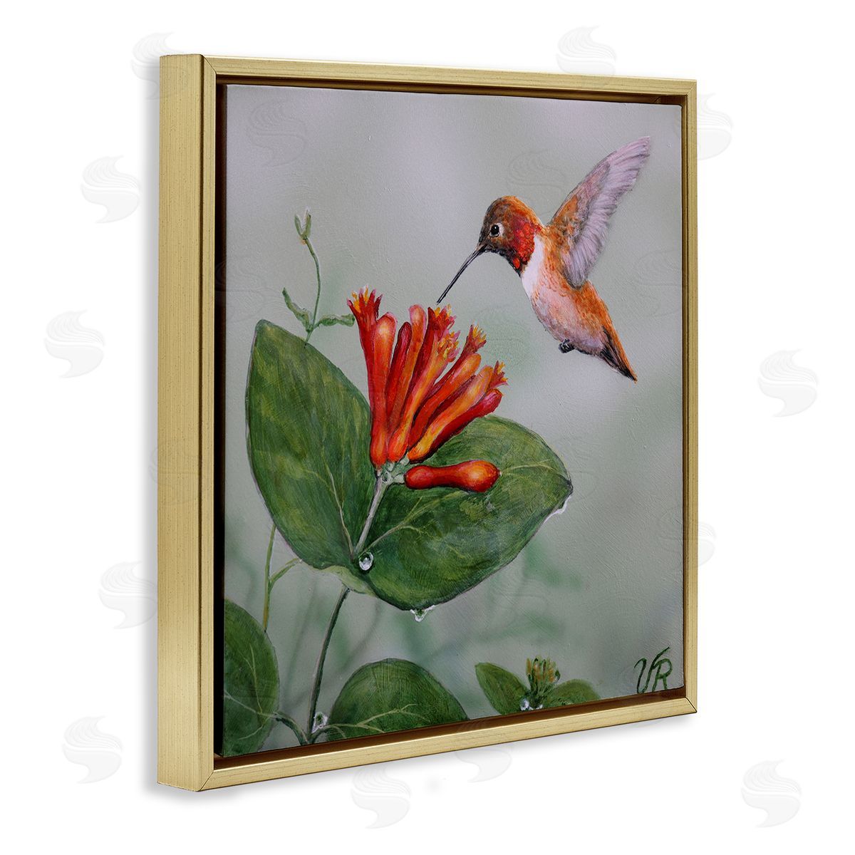 Red Hummingbird & Flower Gold Floating Frame Canvas Wall Art, Home Decor by Valerie Rogers
