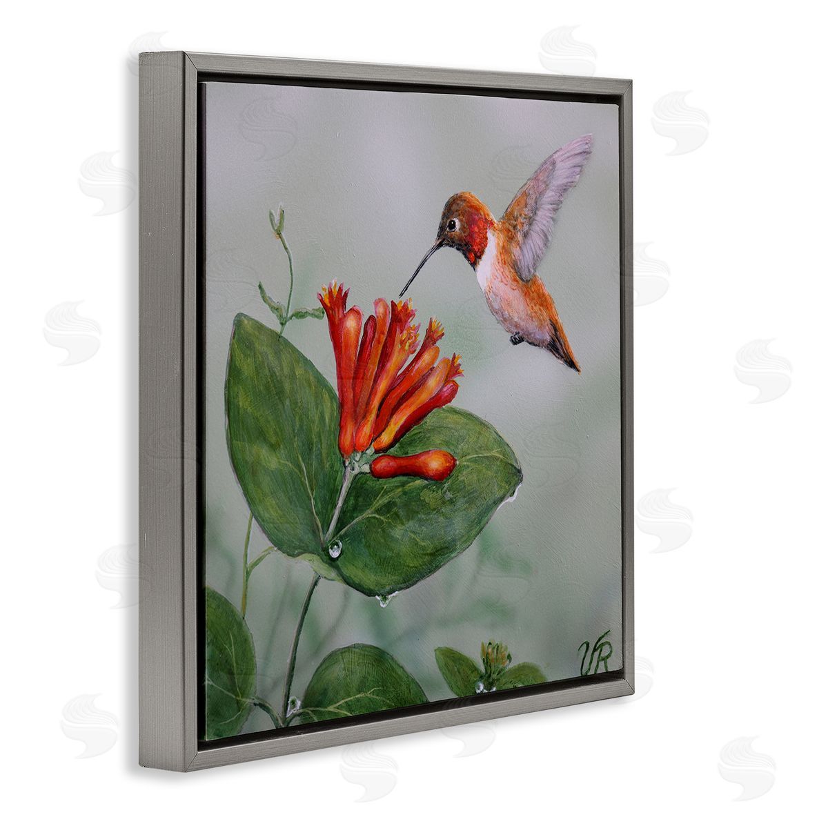 Red Hummingbird & Flower Grey Floating Frame Canvas Wall Art, Home Decor by Valerie Rogers