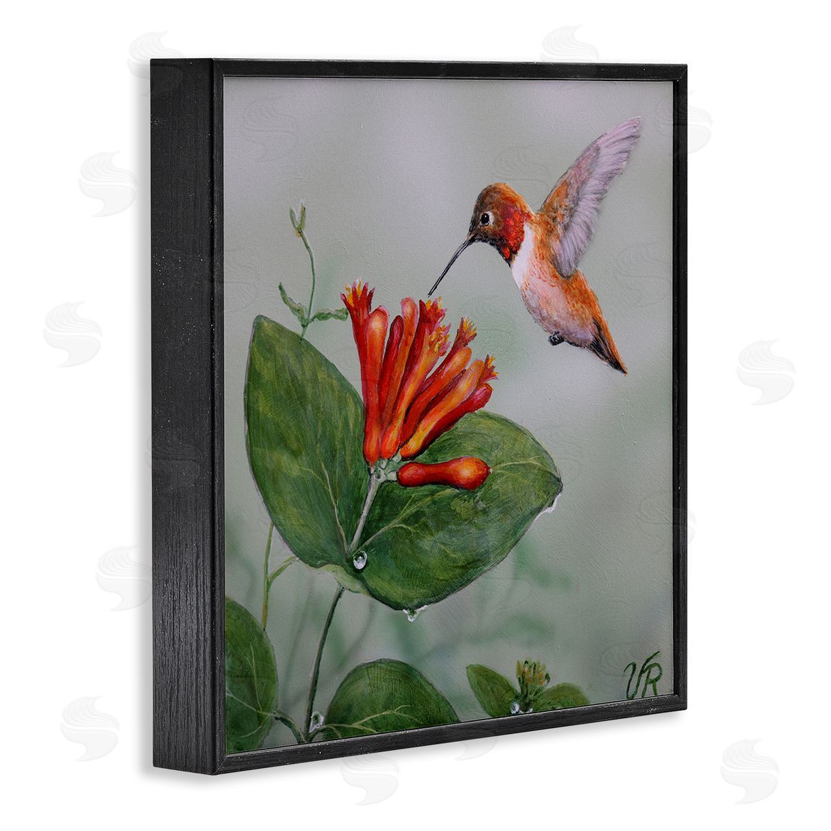 Red Hummingbird & Flower Black Frame Print Wall Art, Home Decor by Valerie Rogers