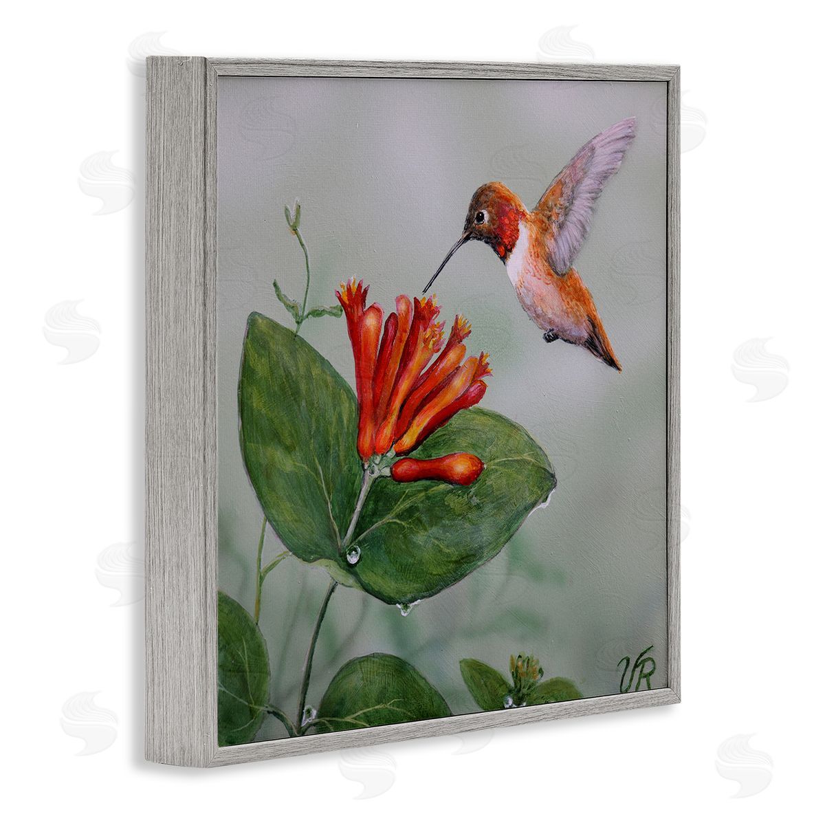 Red Hummingbird & Flower Grey Frame Print Wall Art, Home Decor by Valerie Rogers