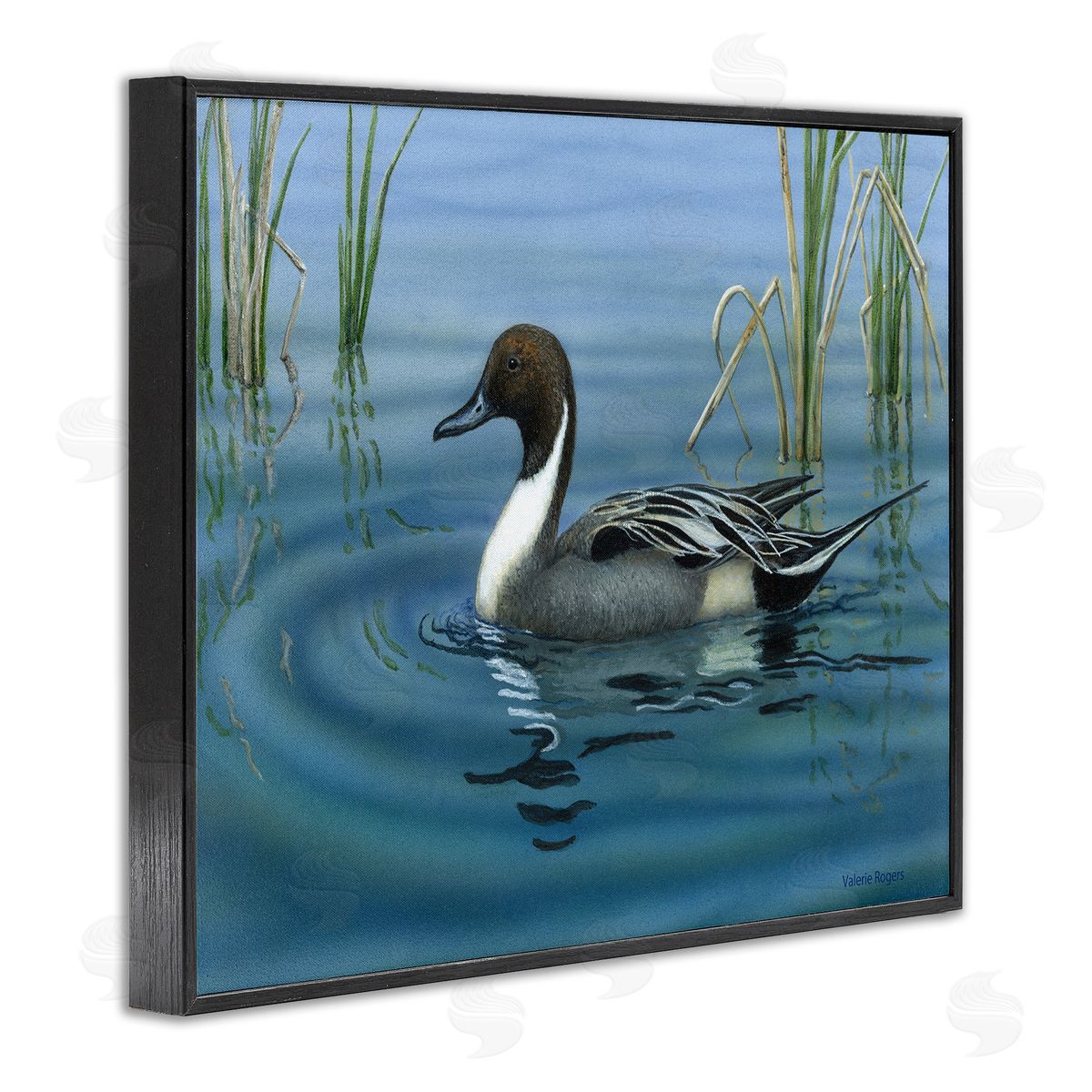 Pintail Loon in Pond Black Frame Print Wall Art, Home Decor by Valerie Rogers
