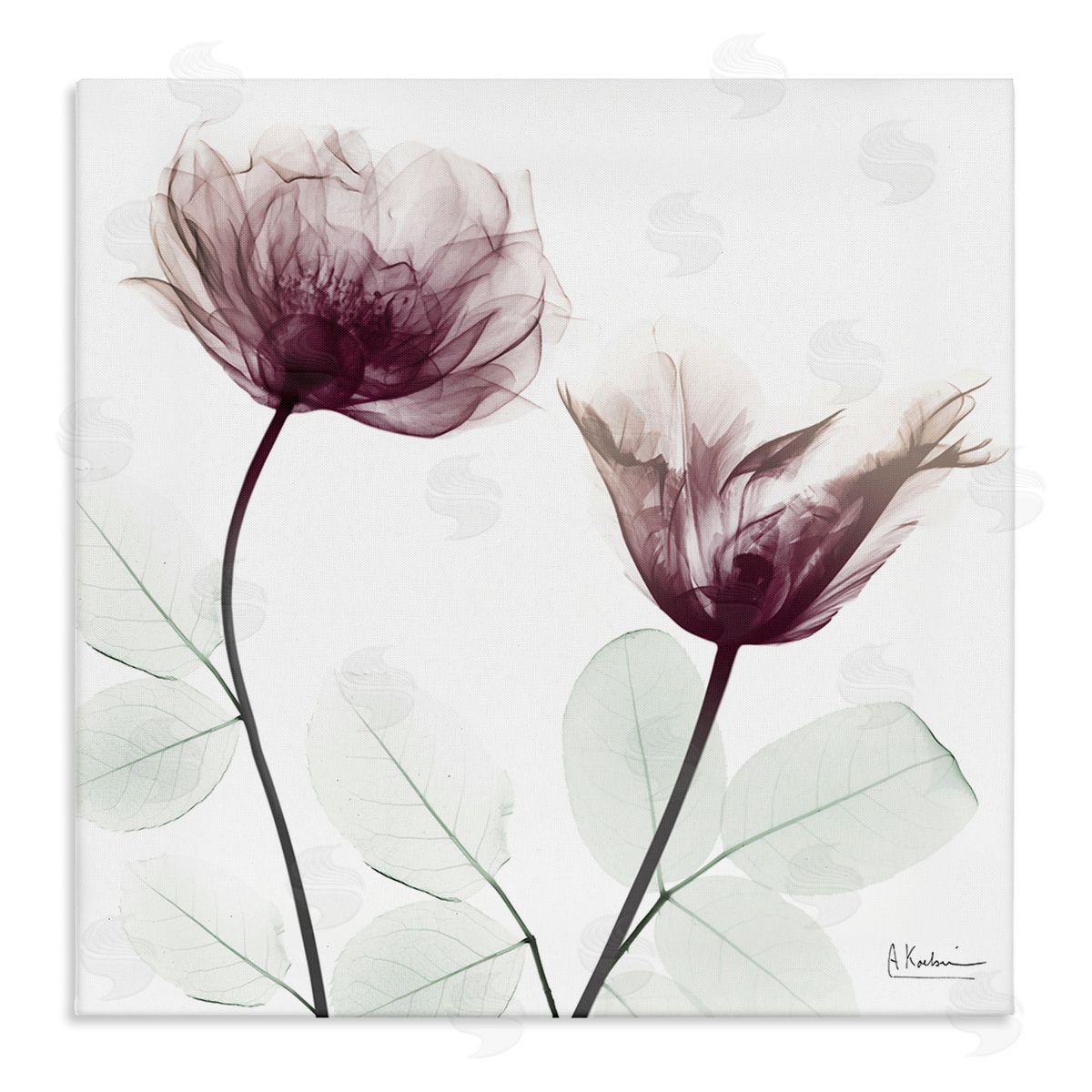 Minimalist Translucent Flowers Canvas Wall Art, Home Decor by Albert Koetsier