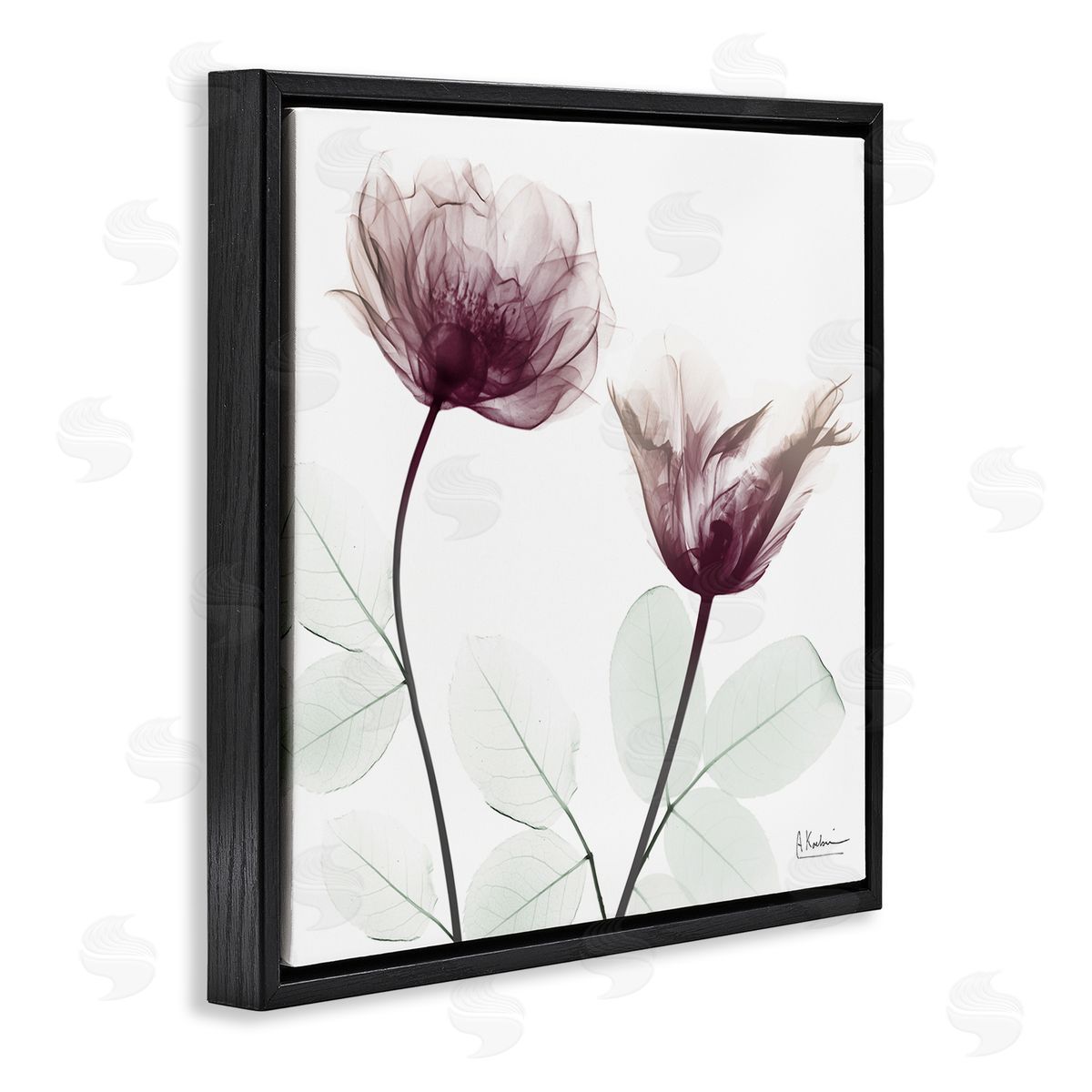 Minimalist Translucent Flowers Black Floating Frame Canvas Wall Art, Home Decor by Albert Koetsier