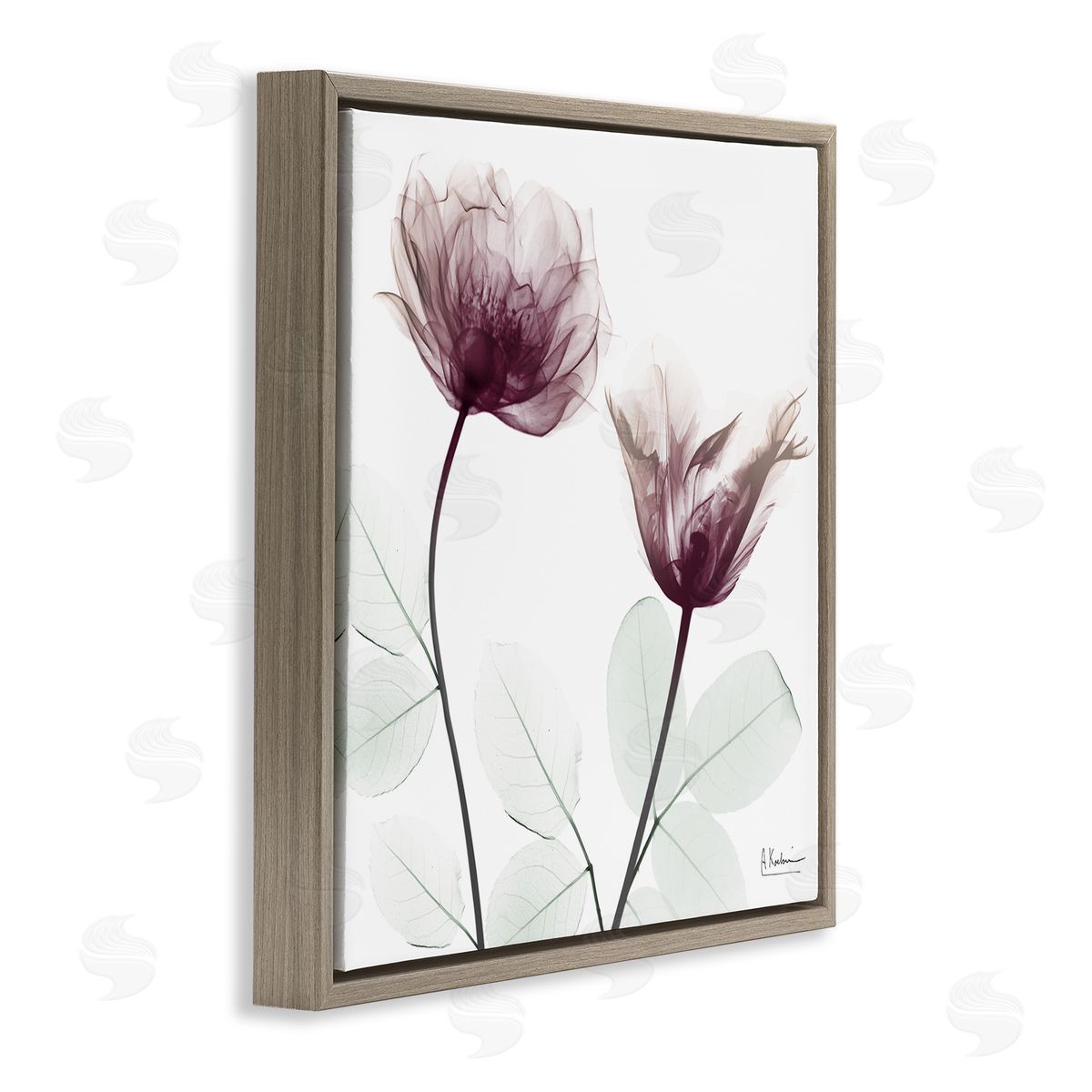 Minimalist Translucent Flowers Brown Floating Frame Canvas Wall Art, Home Decor by Albert Koetsier