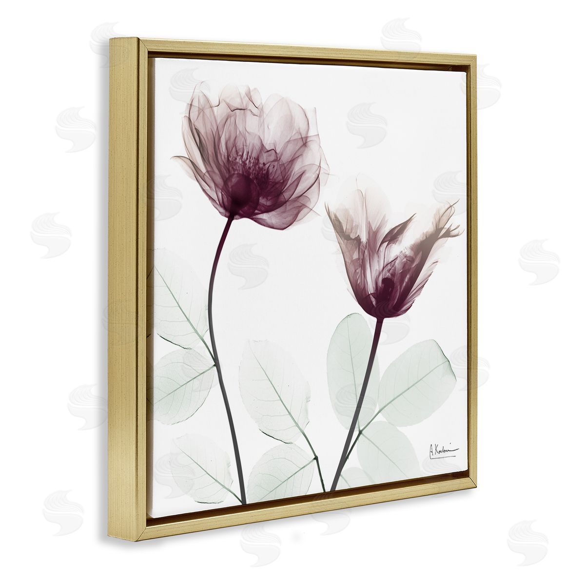 Minimalist Translucent Flowers Gold Floating Frame Canvas Wall Art, Home Decor by Albert Koetsier