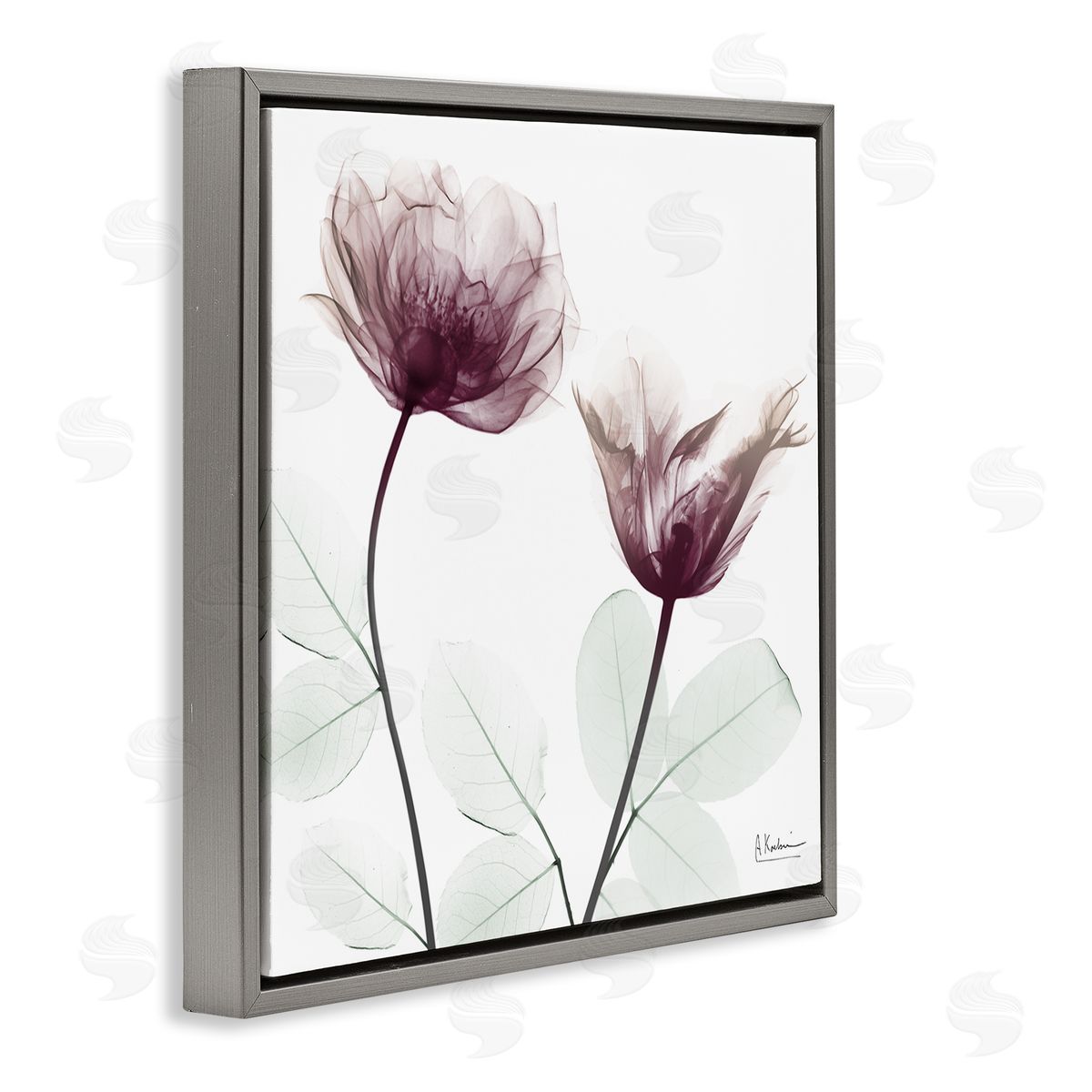 Minimalist Translucent Flowers Grey Floating Frame Canvas Wall Art, Home Decor by Albert Koetsier