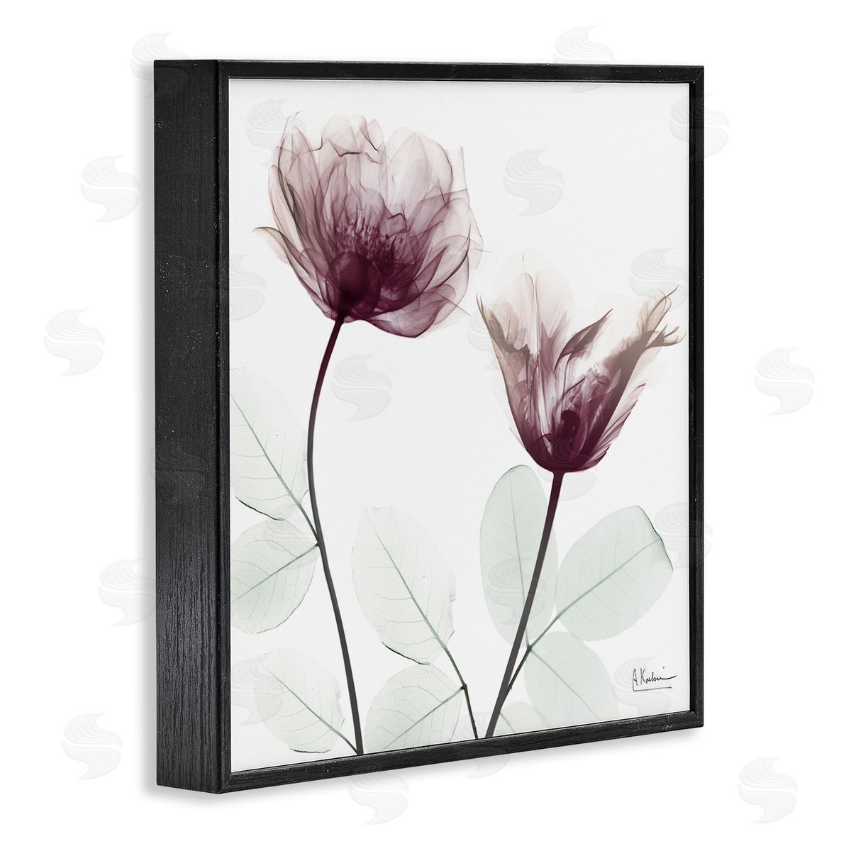 Minimalist Translucent Flowers Black Frame Print Wall Art, Home Decor by Albert Koetsier