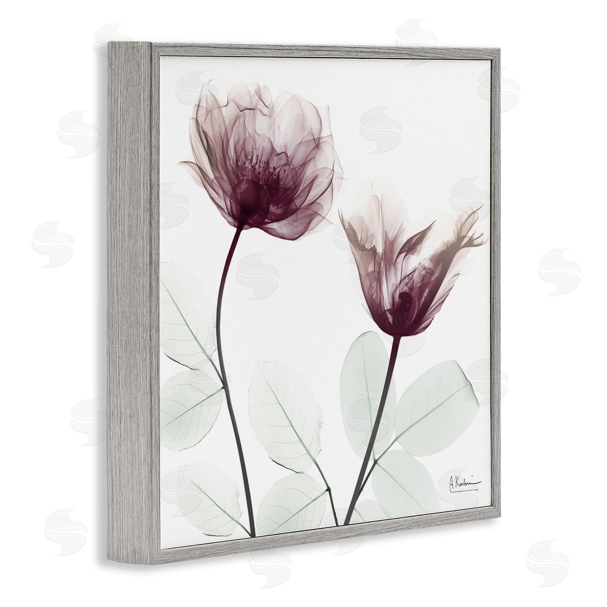 Minimalist Translucent Flowers Grey Frame Print Wall Art, Home Decor by Albert Koetsier