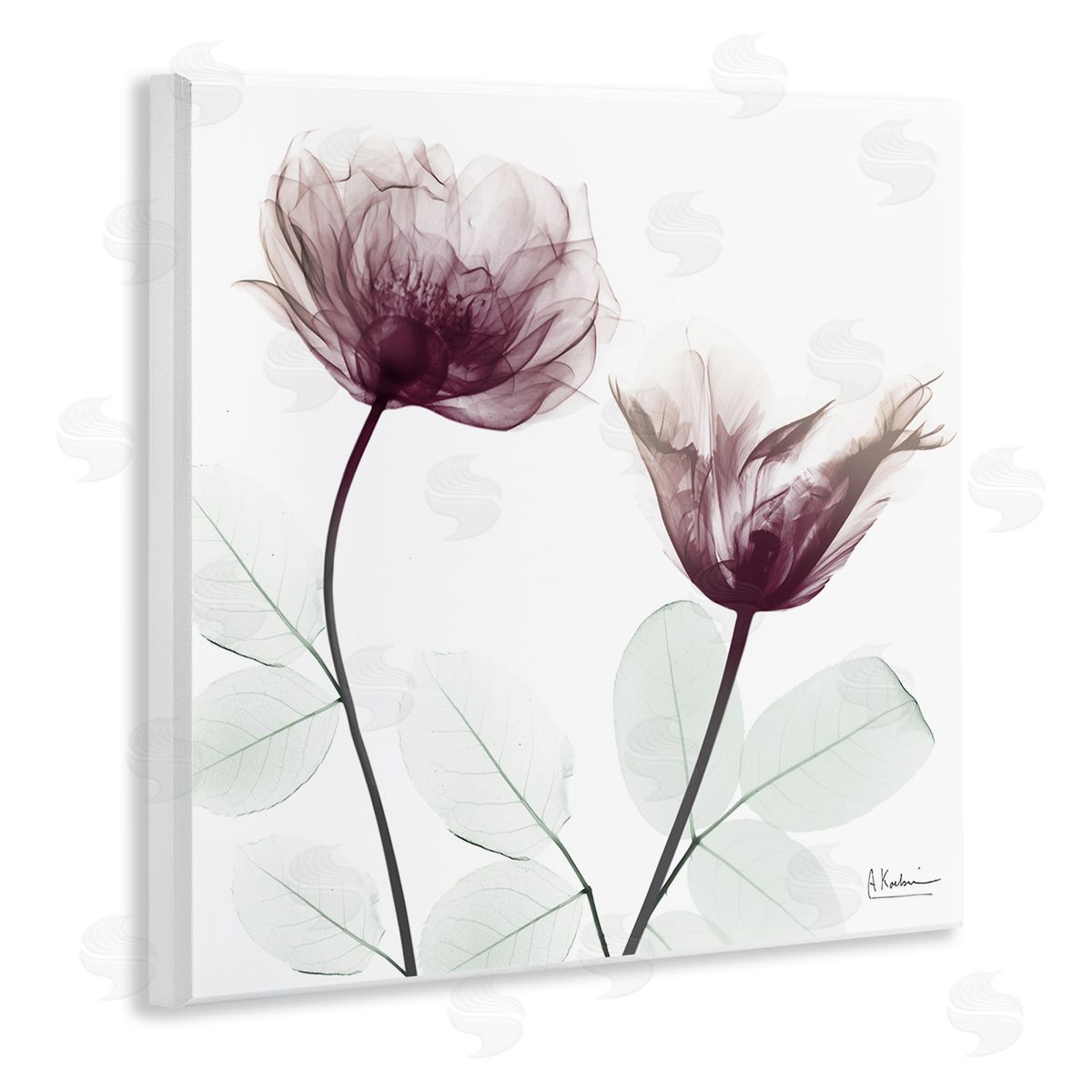 Minimalist Translucent Flowers Wood Plaque Wall Art, Home Decor by Albert Koetsier