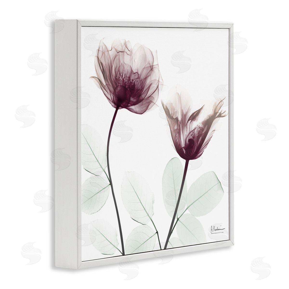 Minimalist Translucent Flowers White Frame Print Wall Art, Home Decor by Albert Koetsier