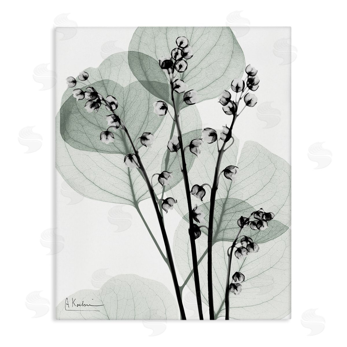 Fresh Minimalist Herbs Canvas Wall Art, Home Decor by Albert Koetsier