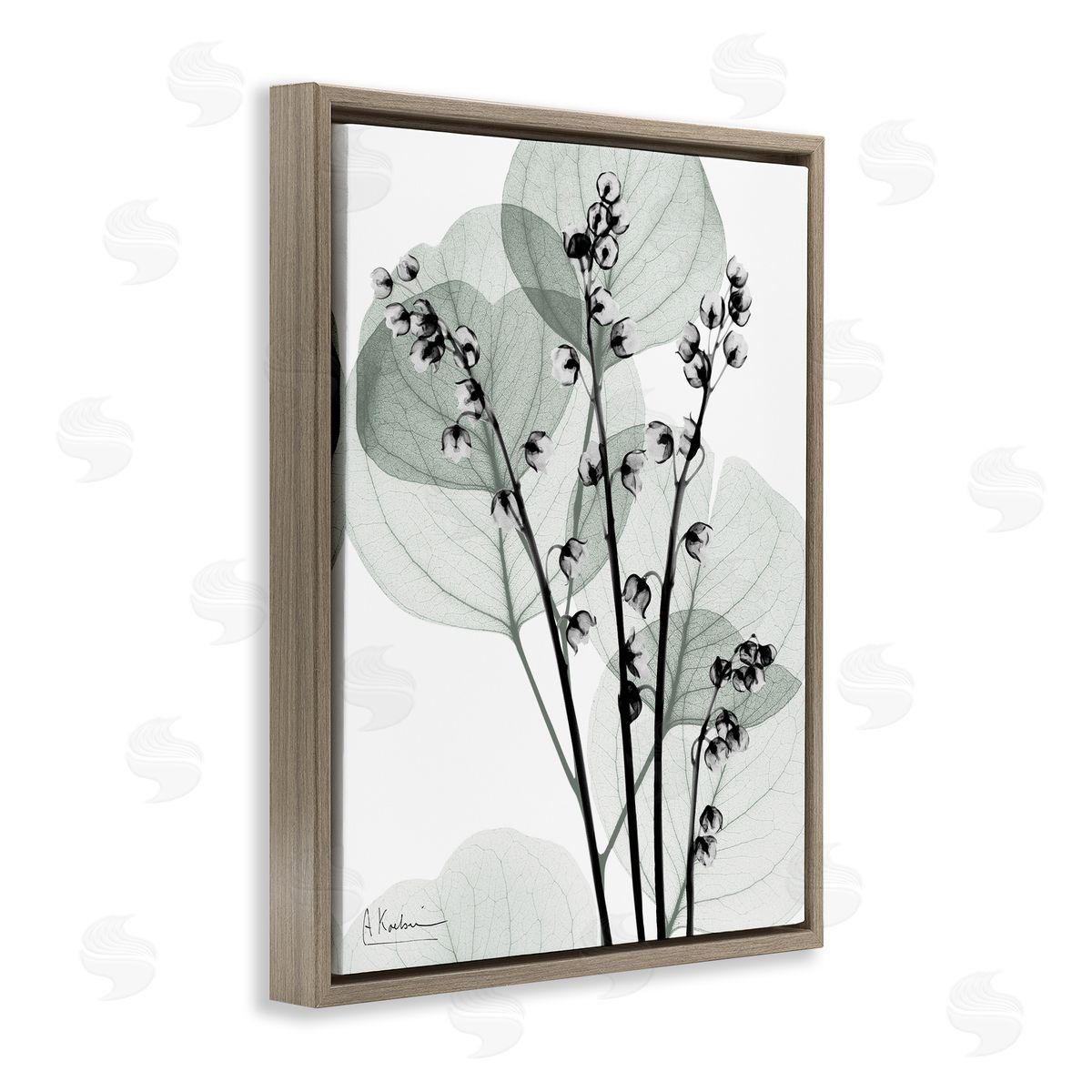 Fresh Minimalist Herbs Brown Floating Frame Canvas Wall Art, Home Decor by Albert Koetsier