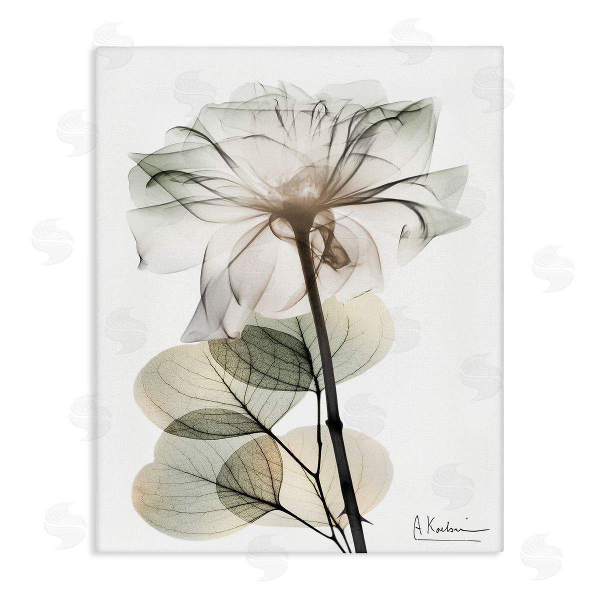Modern Minimalist Buds Canvas Wall Art, Home Decor by Albert Koetsier