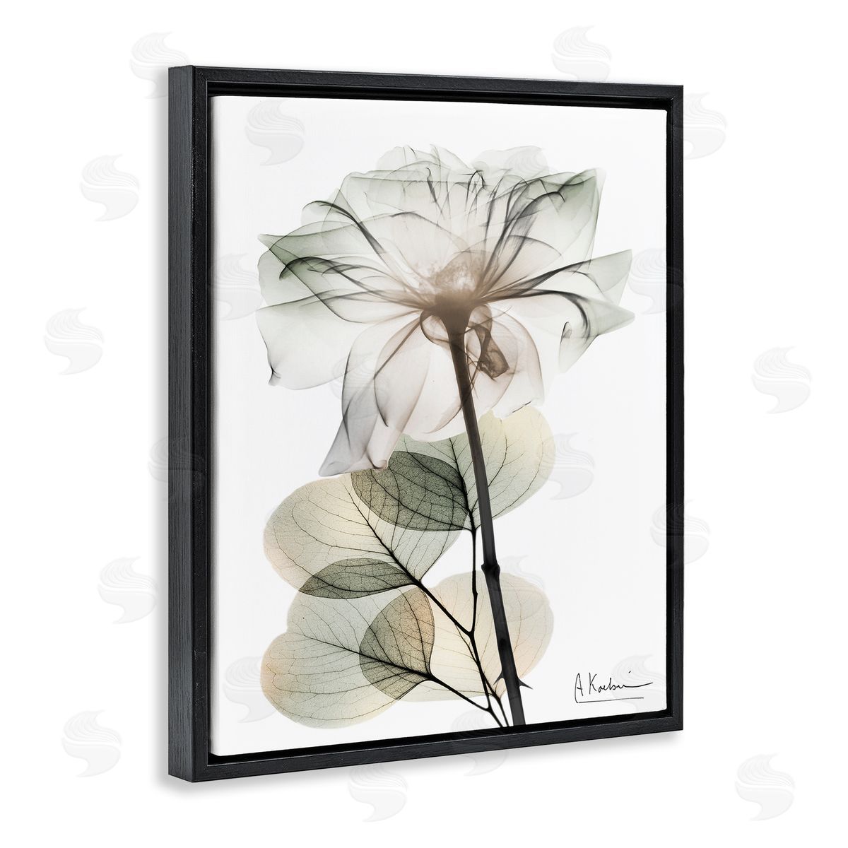 Modern Minimalist Buds Black Floating Frame Canvas Wall Art, Home Decor by Albert Koetsier