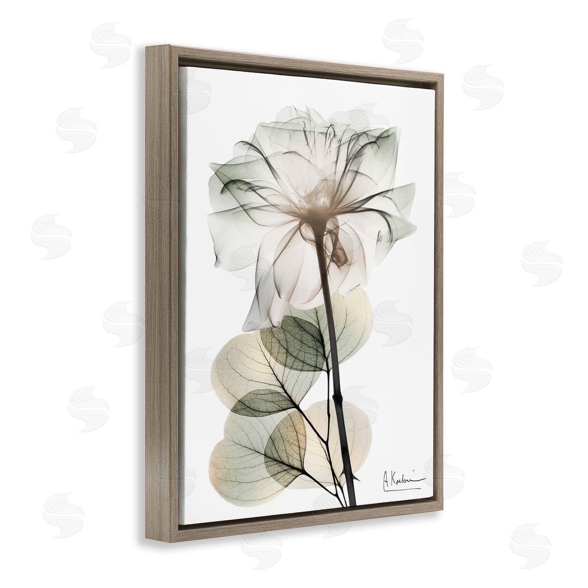 Modern Minimalist Buds Brown Floating Frame Canvas Wall Art, Home Decor by Albert Koetsier