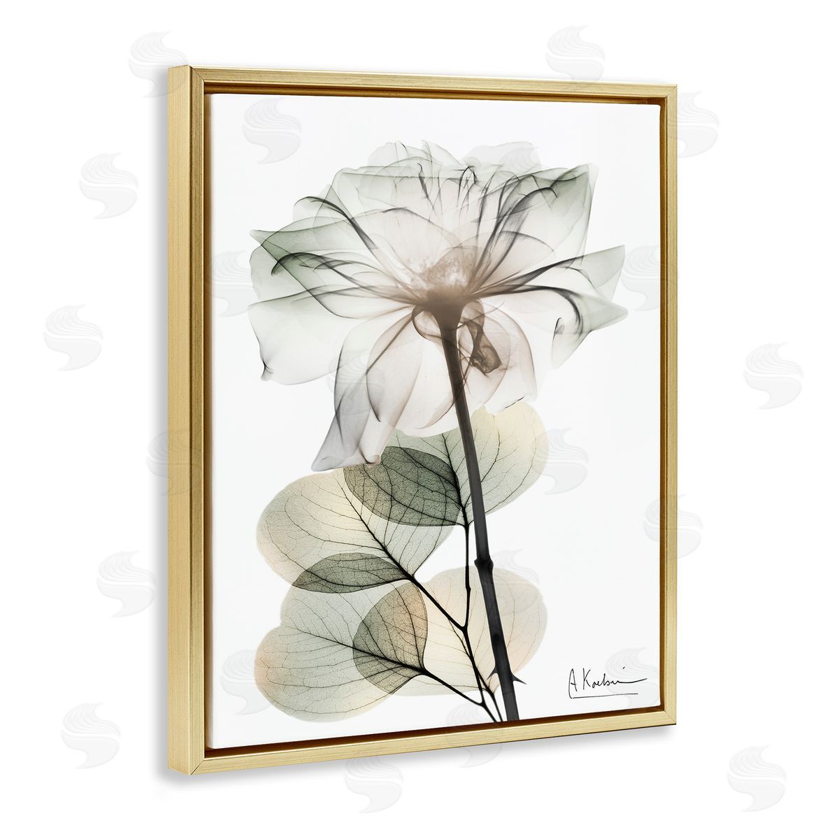 Modern Minimalist Buds Gold Floating Frame Canvas Wall Art, Home Decor by Albert Koetsier