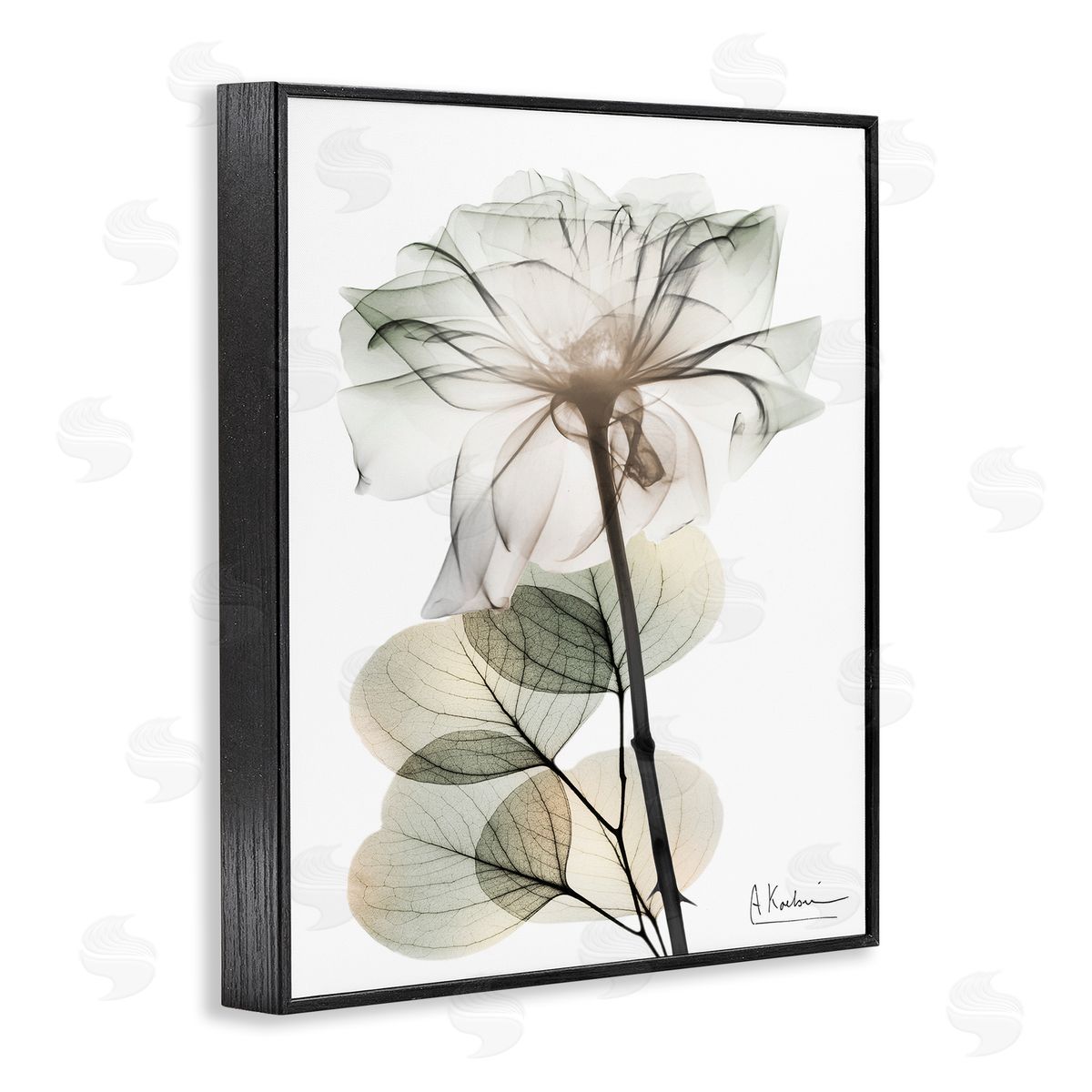 Modern Minimalist Buds Black Frame Print Wall Art, Home Decor by Albert Koetsier