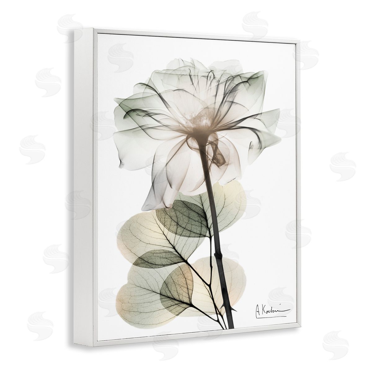 Modern Minimalist Buds White Frame Print Wall Art, Home Decor by Albert Koetsier