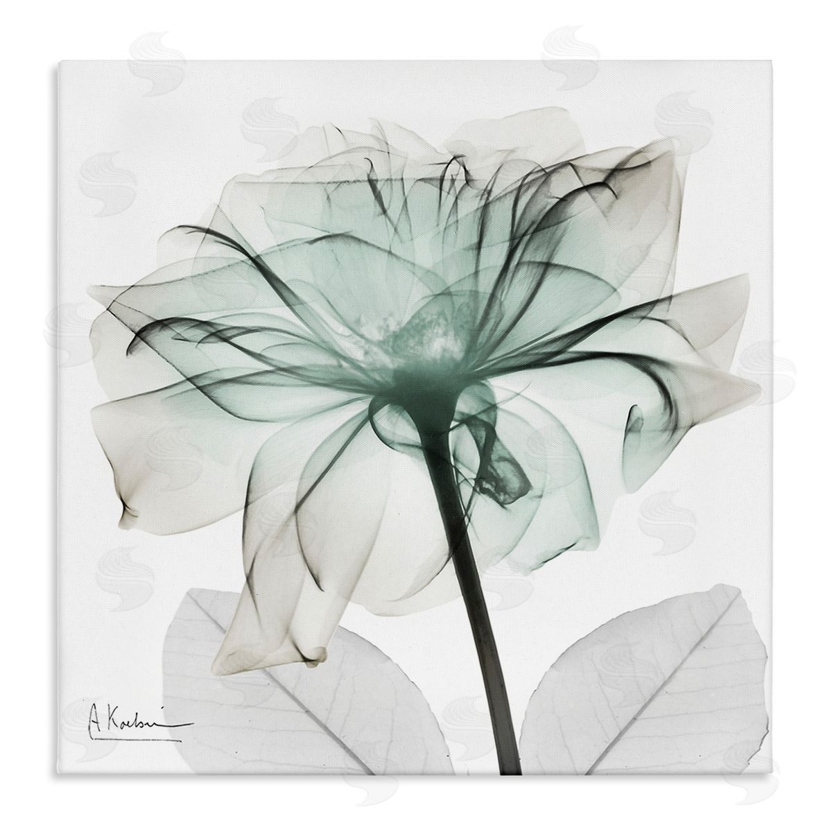 Unique Chic Flower Petal Canvas Wall Art, Home Decor by Albert Koetsier