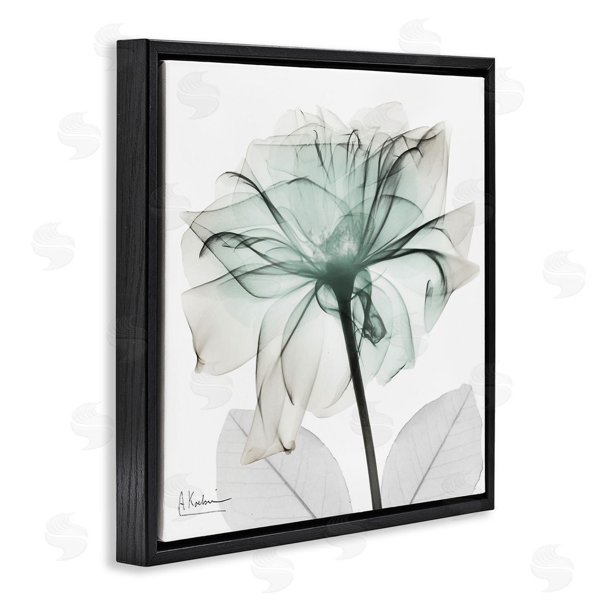 Unique Chic Flower Petal Black Floating Frame Canvas Wall Art, Home Decor by Albert Koetsier