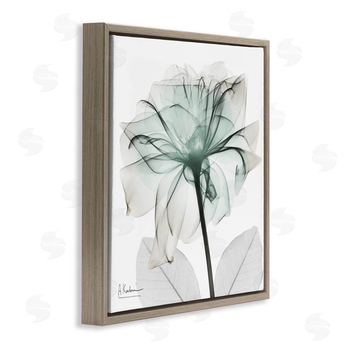 Unique Chic Flower Petal Brown Floating Frame Canvas Wall Art, Home Decor by Albert Koetsier