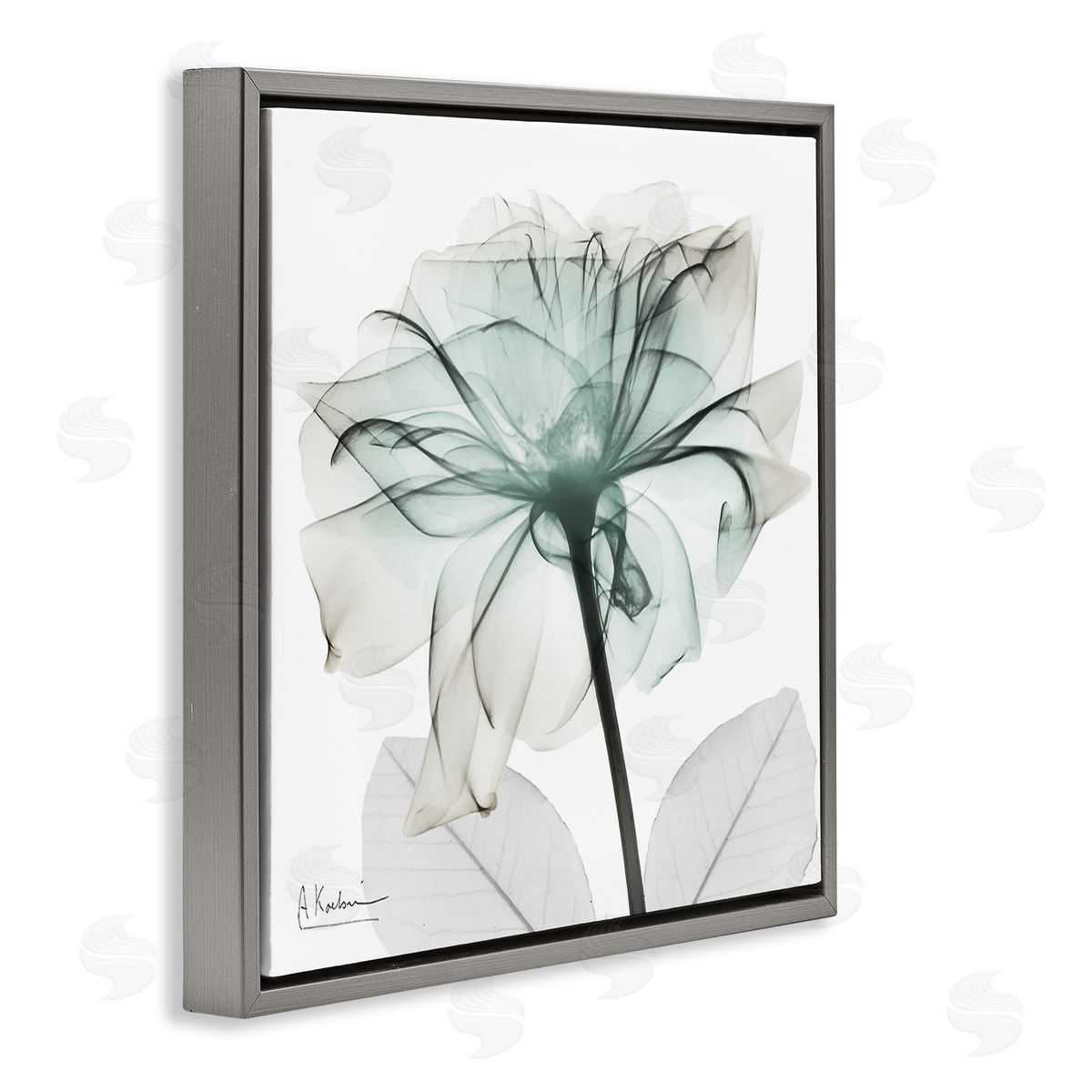 Unique Chic Flower Petal Grey Floating Frame Canvas Wall Art, Home Decor by Albert Koetsier