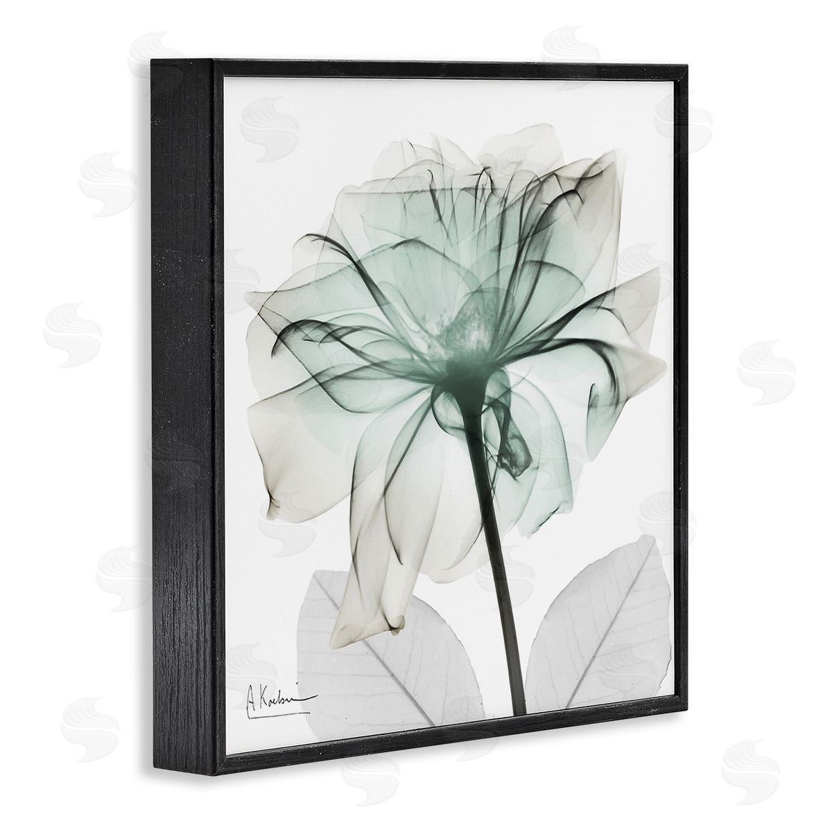 Unique Chic Flower Petal Black Frame Print Wall Art, Home Decor by Albert Koetsier